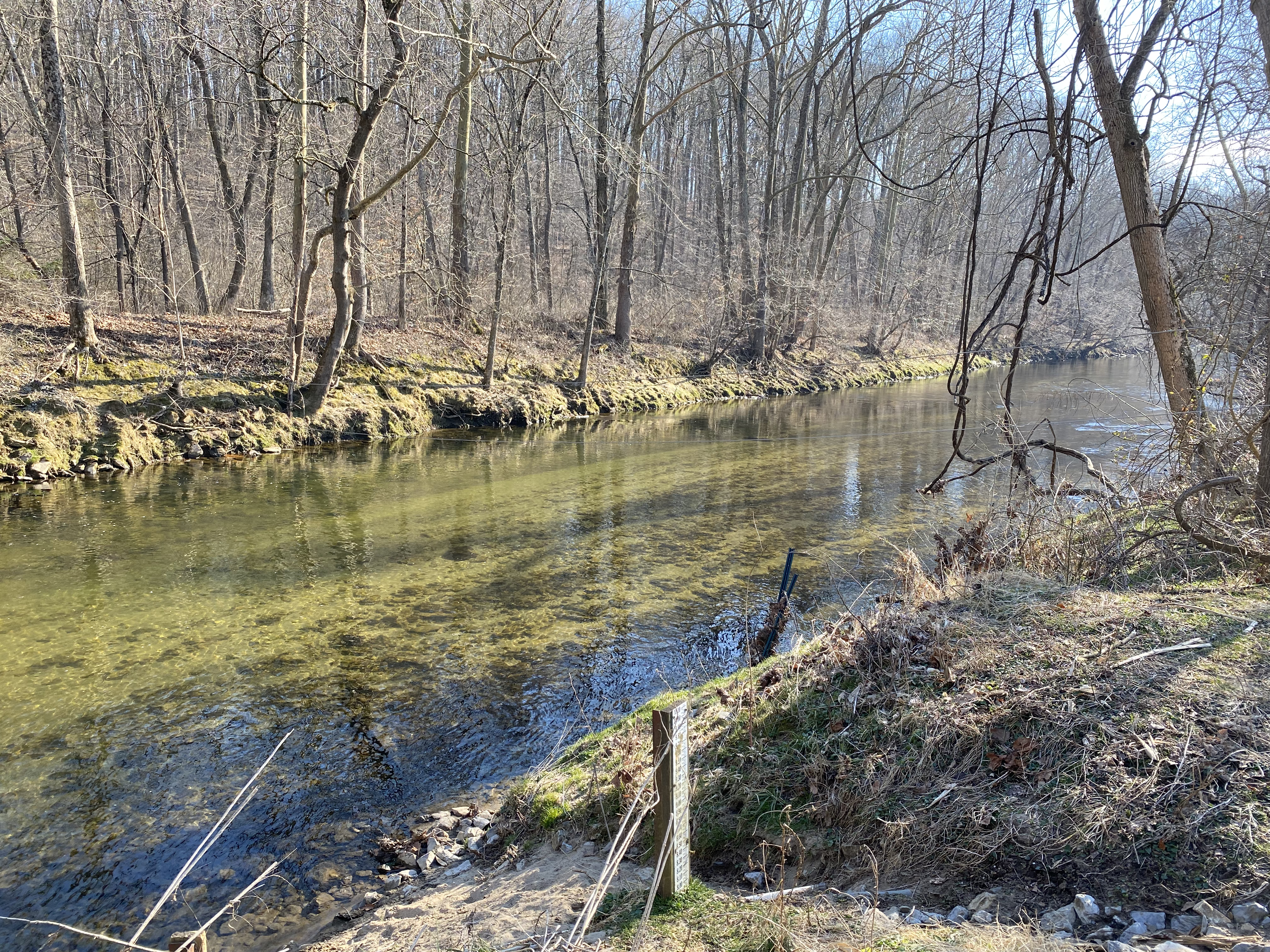 Hike White Clay Creek Preserve Loop Trail