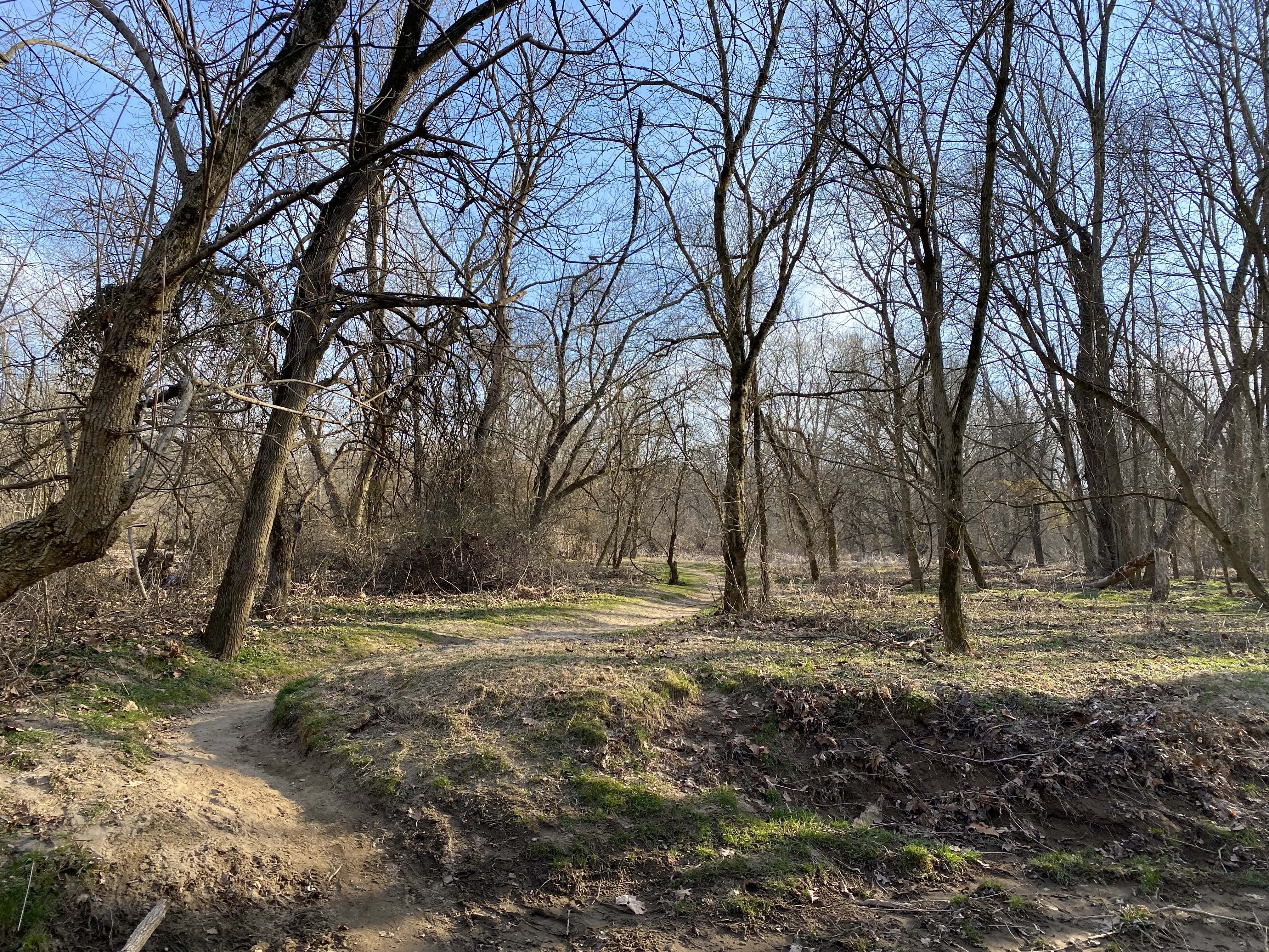 Hike White Clay Creek Preserve Loop Trail
