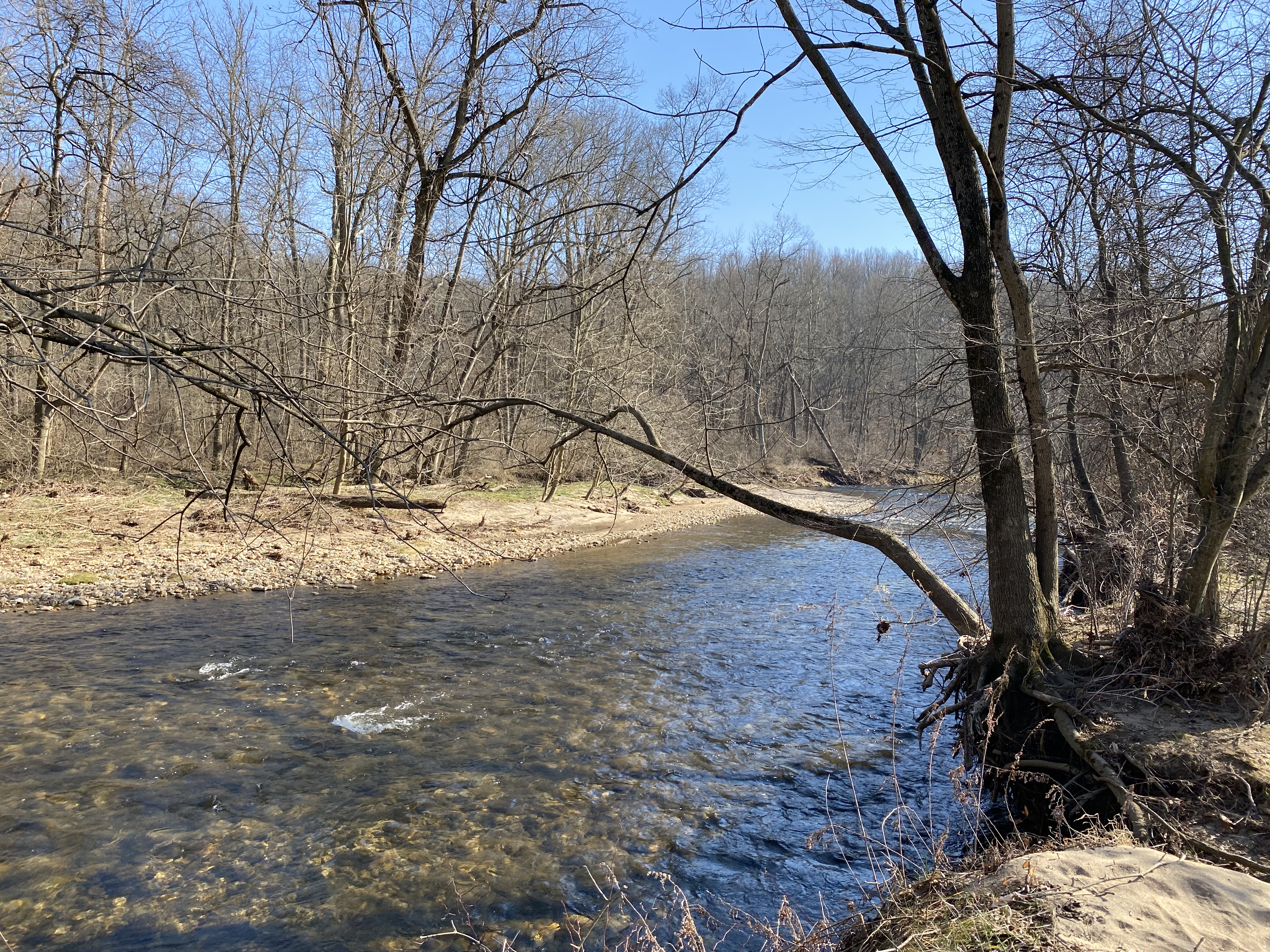 Hike White Clay Creek Preserve Loop Trail