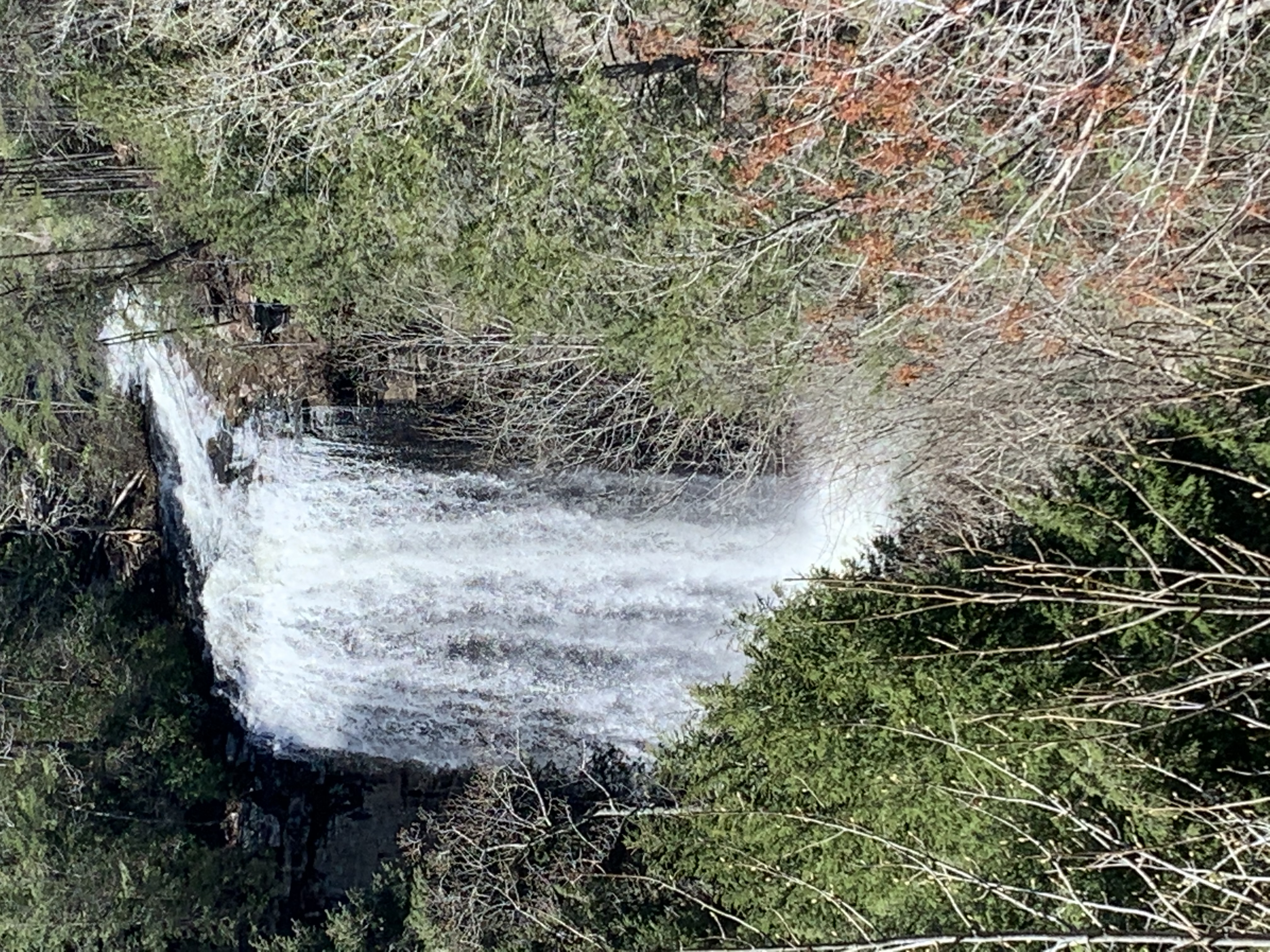 Foster Falls Loop