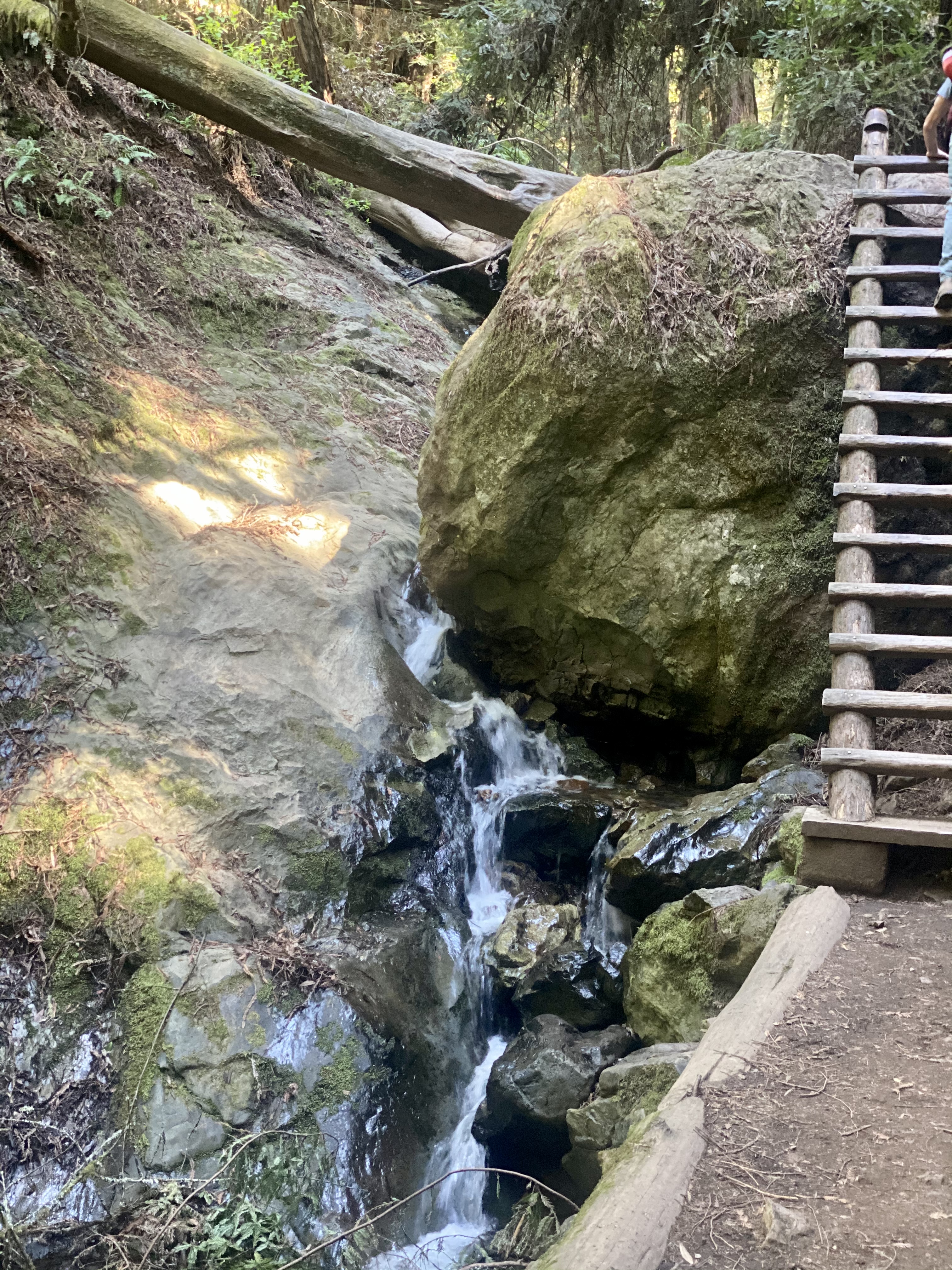 Matt Davis-Steep Ravine Loop