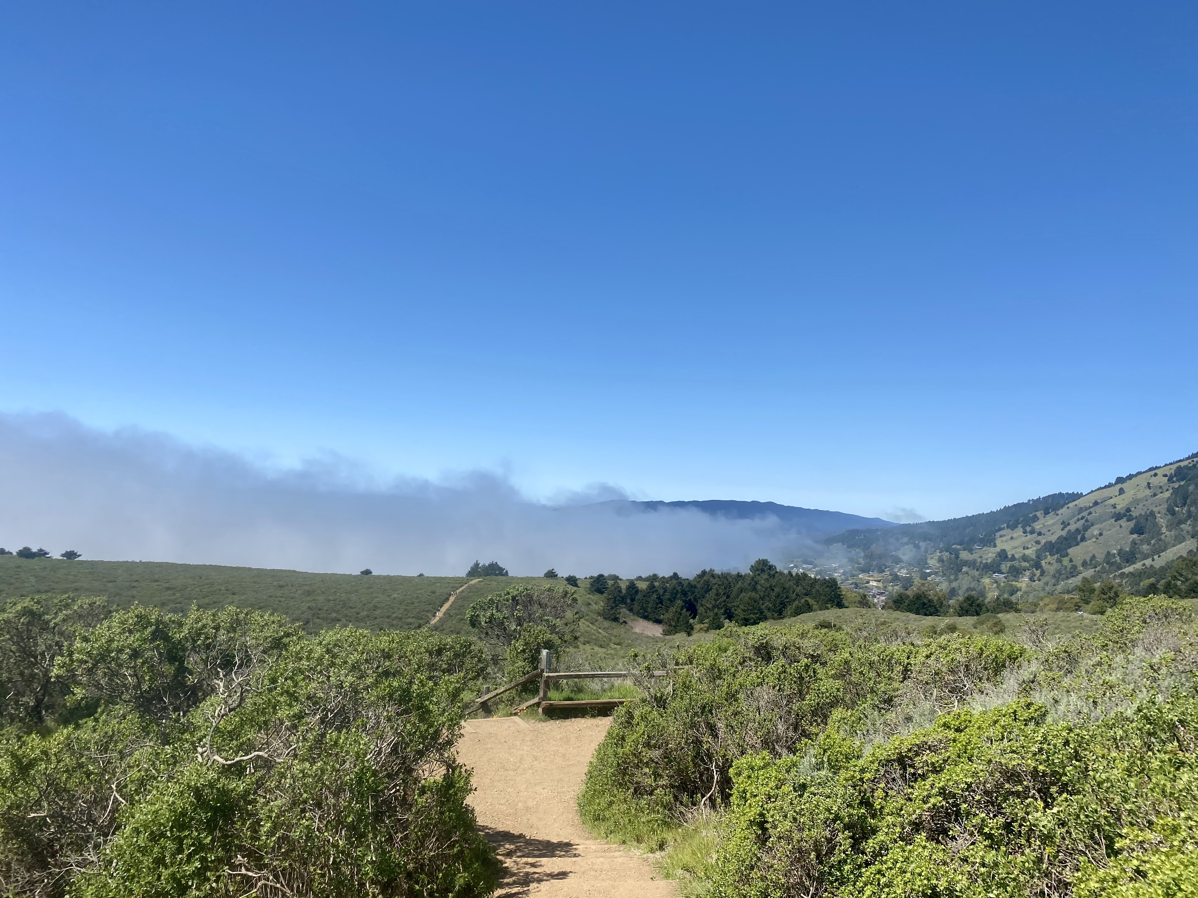 Matt Davis-Steep Ravine Loop