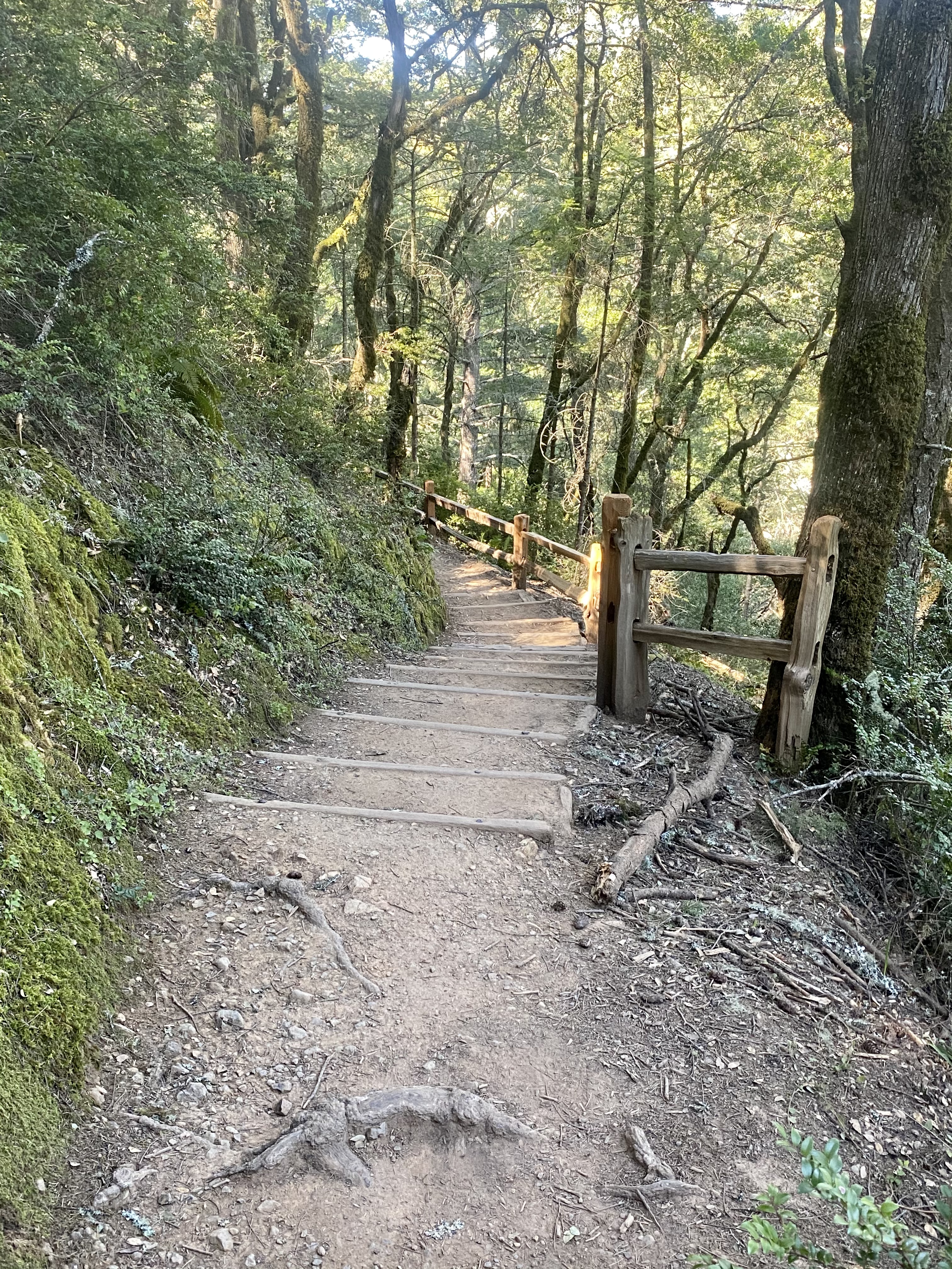 Matt Davis-Steep Ravine Loop