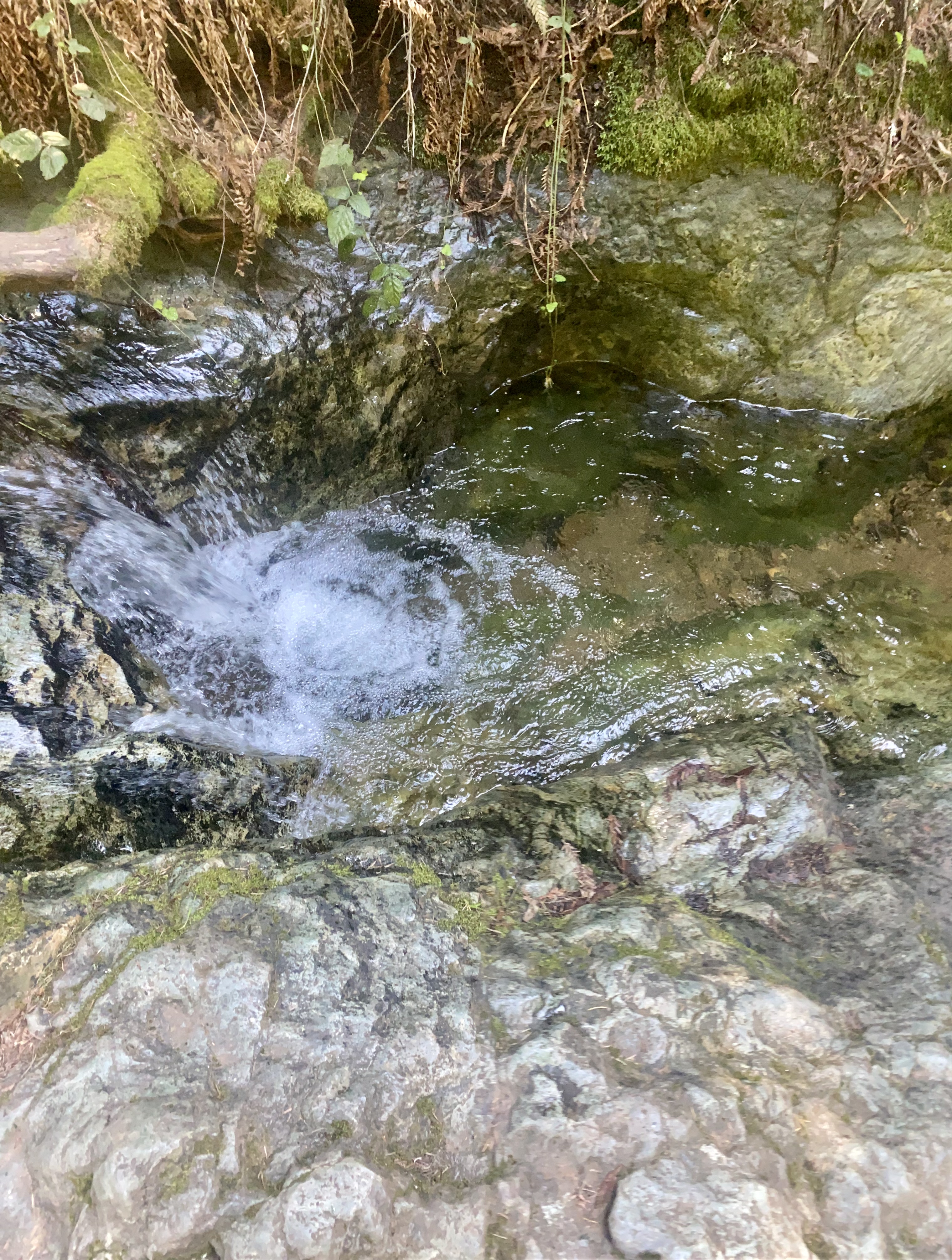 Matt Davis-Steep Ravine Loop