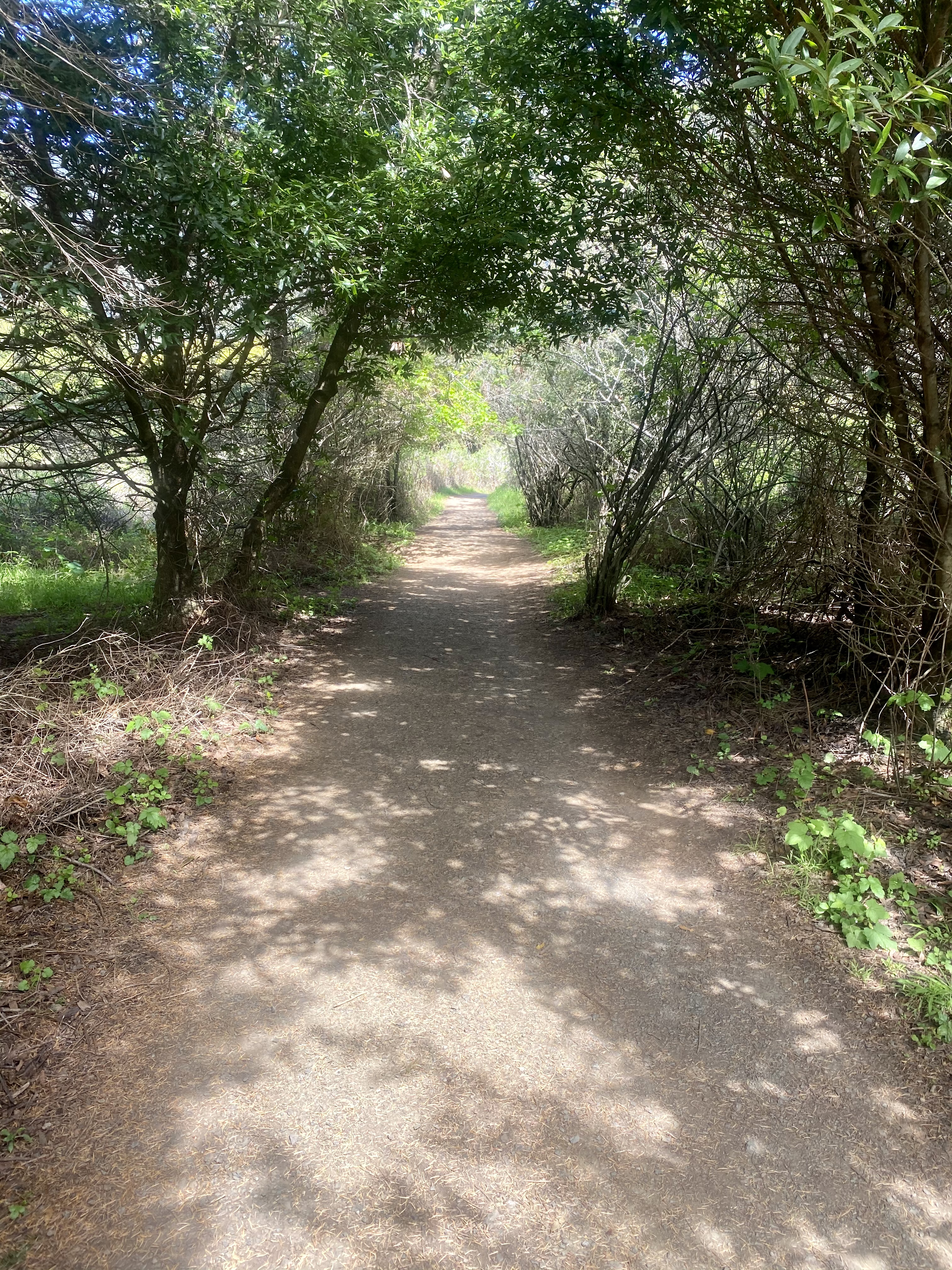 Matt Davis-Steep Ravine Loop