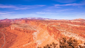 Under the Sea or Hiking at Capitol Reef?