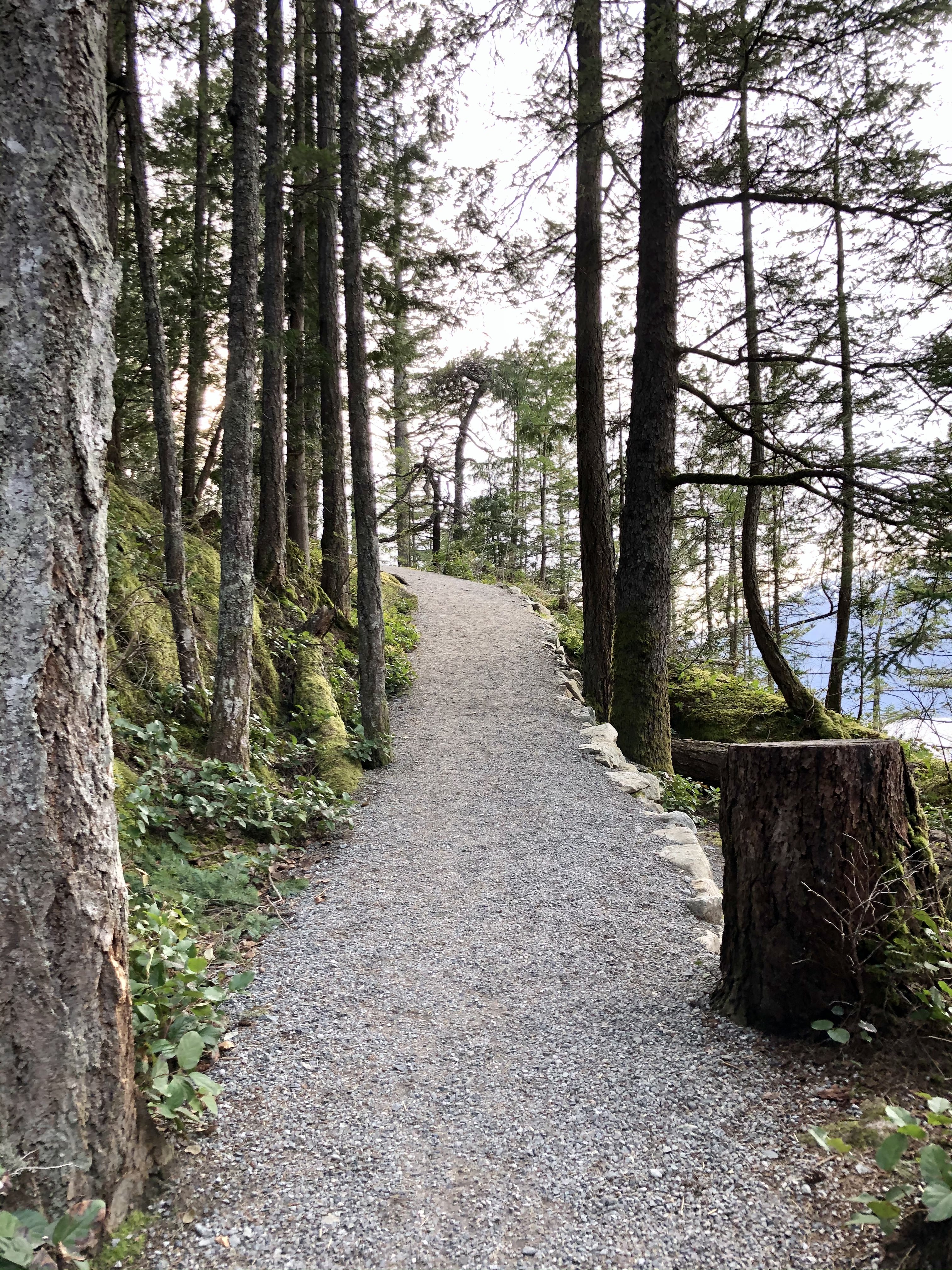 Camp at Porteau Cove Provincial Park 