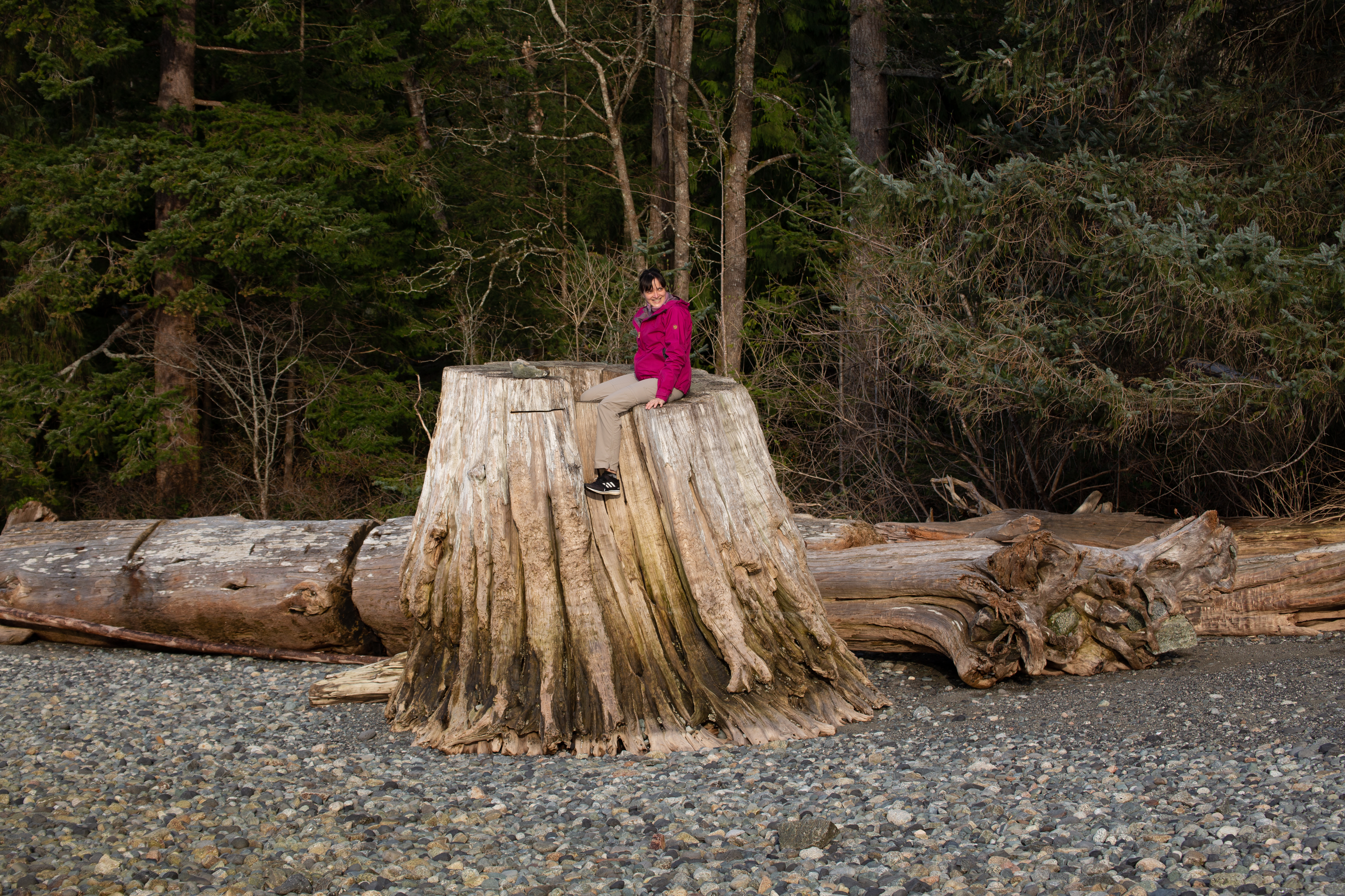 Camp at Porteau Cove Provincial Park 