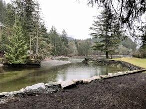 Camp at Porteau Cove Provincial Park 