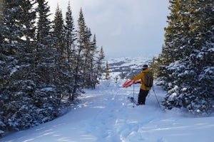 Plan B Ski Expedition