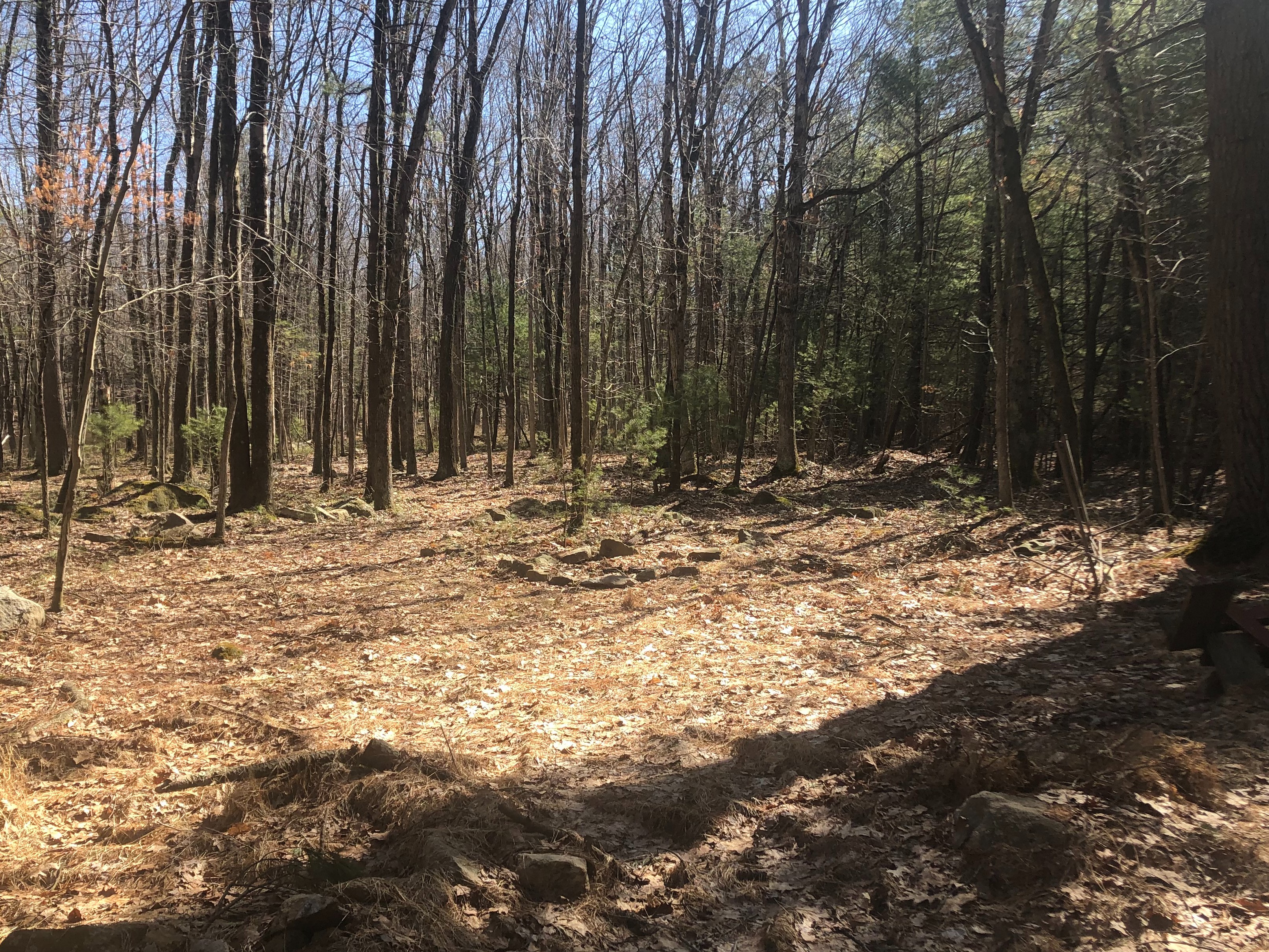 unique lodging near me