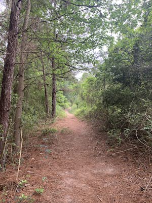 Hike Cypress Creek Trail