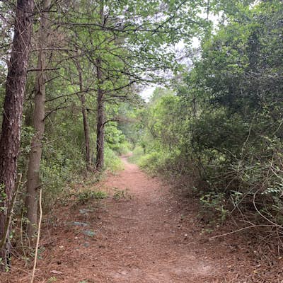 Hike Cypress Creek Trail