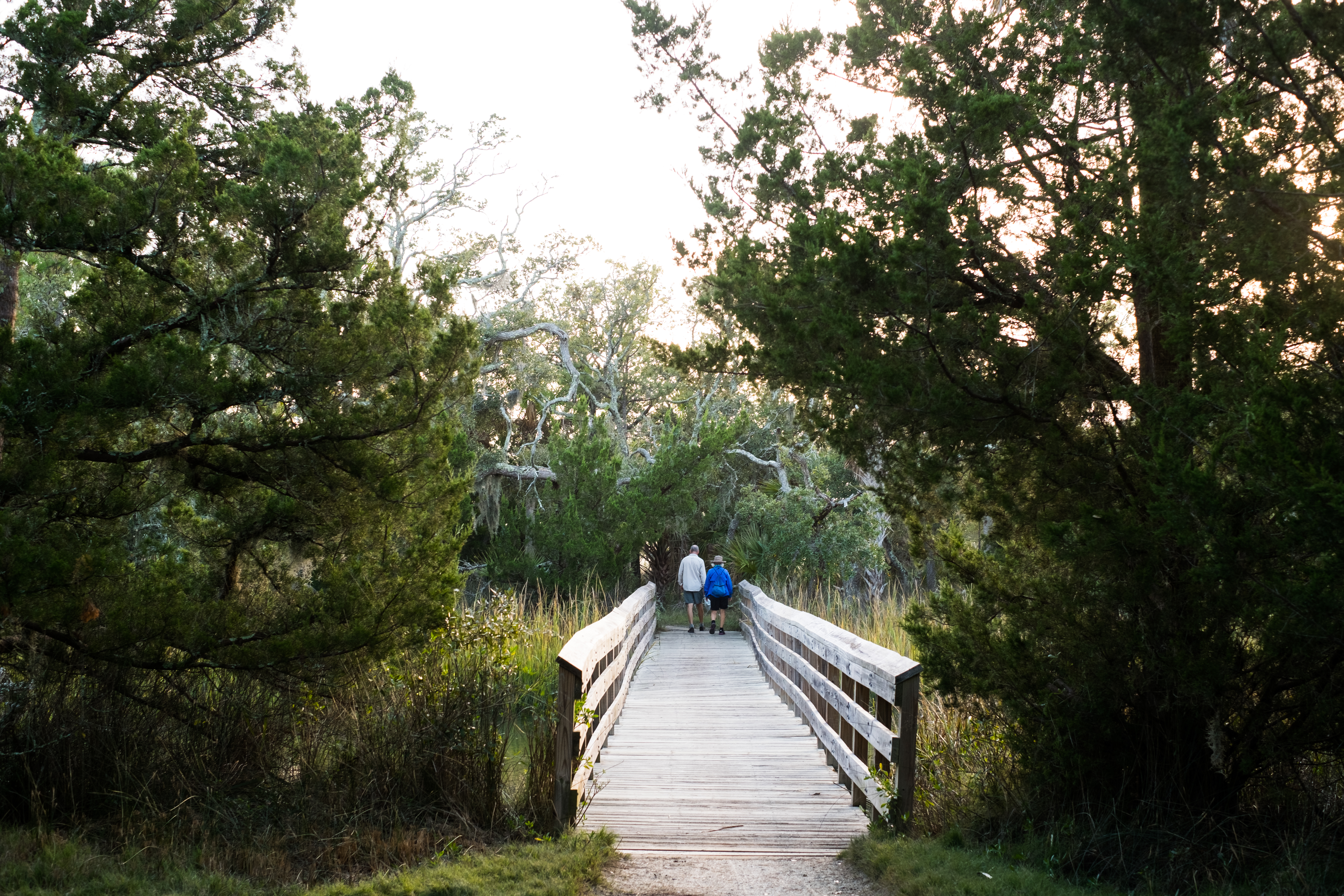 Camping at Edisto Beach State Park, Edisto Island, South Carolina