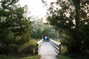 Camping at Edisto Beach State Park