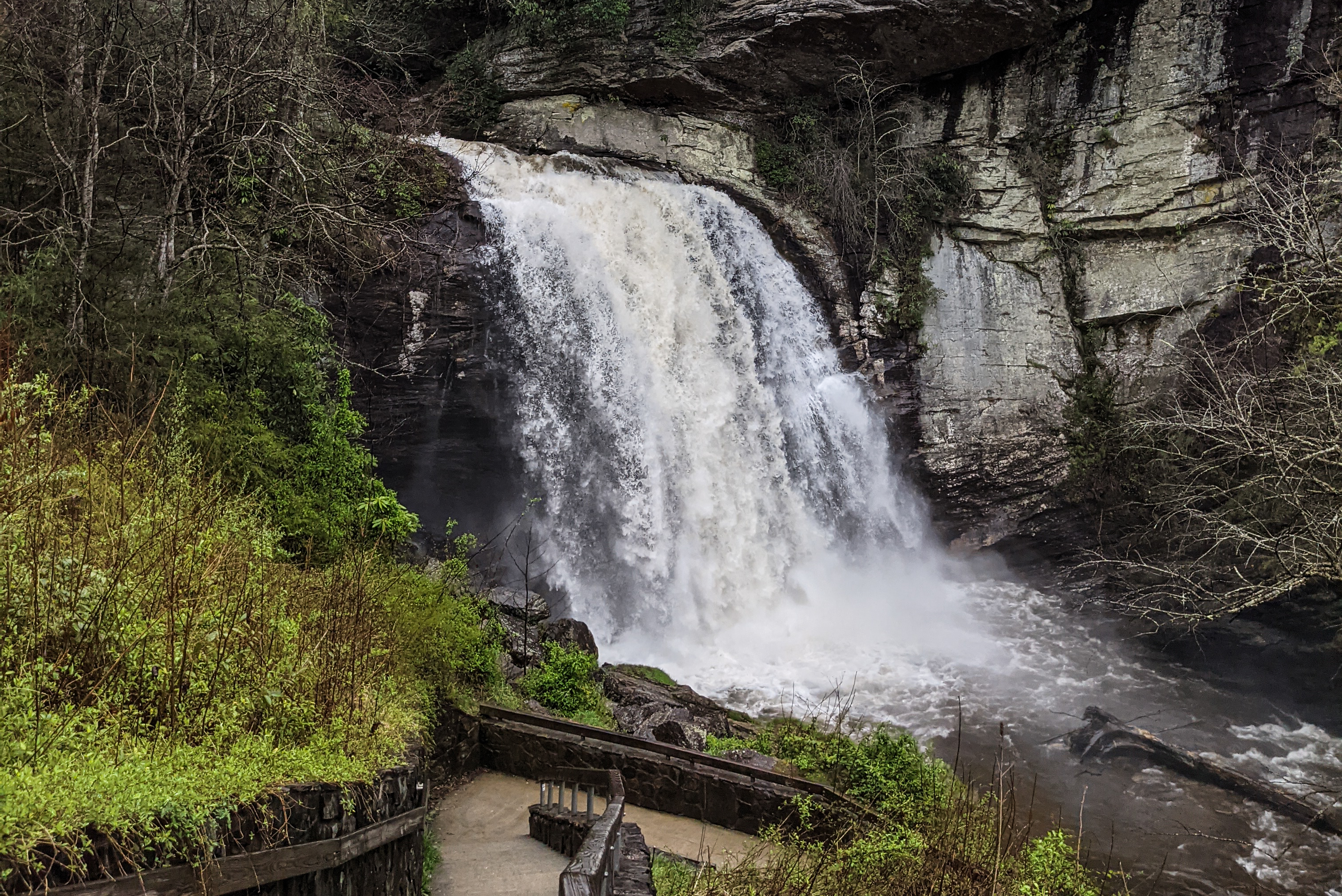 Looking Glass Falls