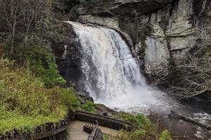Looking Glass Falls