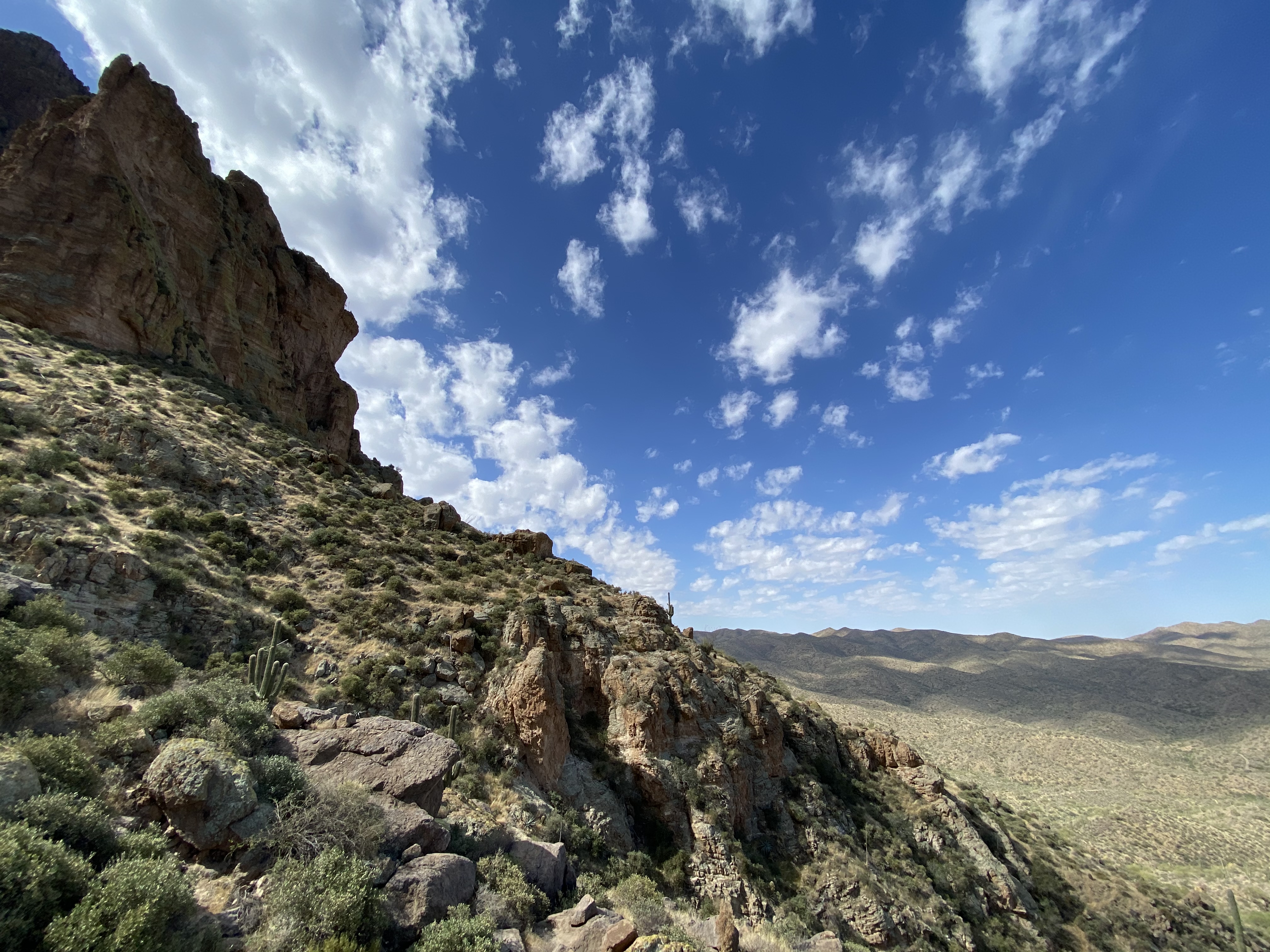 Picketpost Mountain Trail
