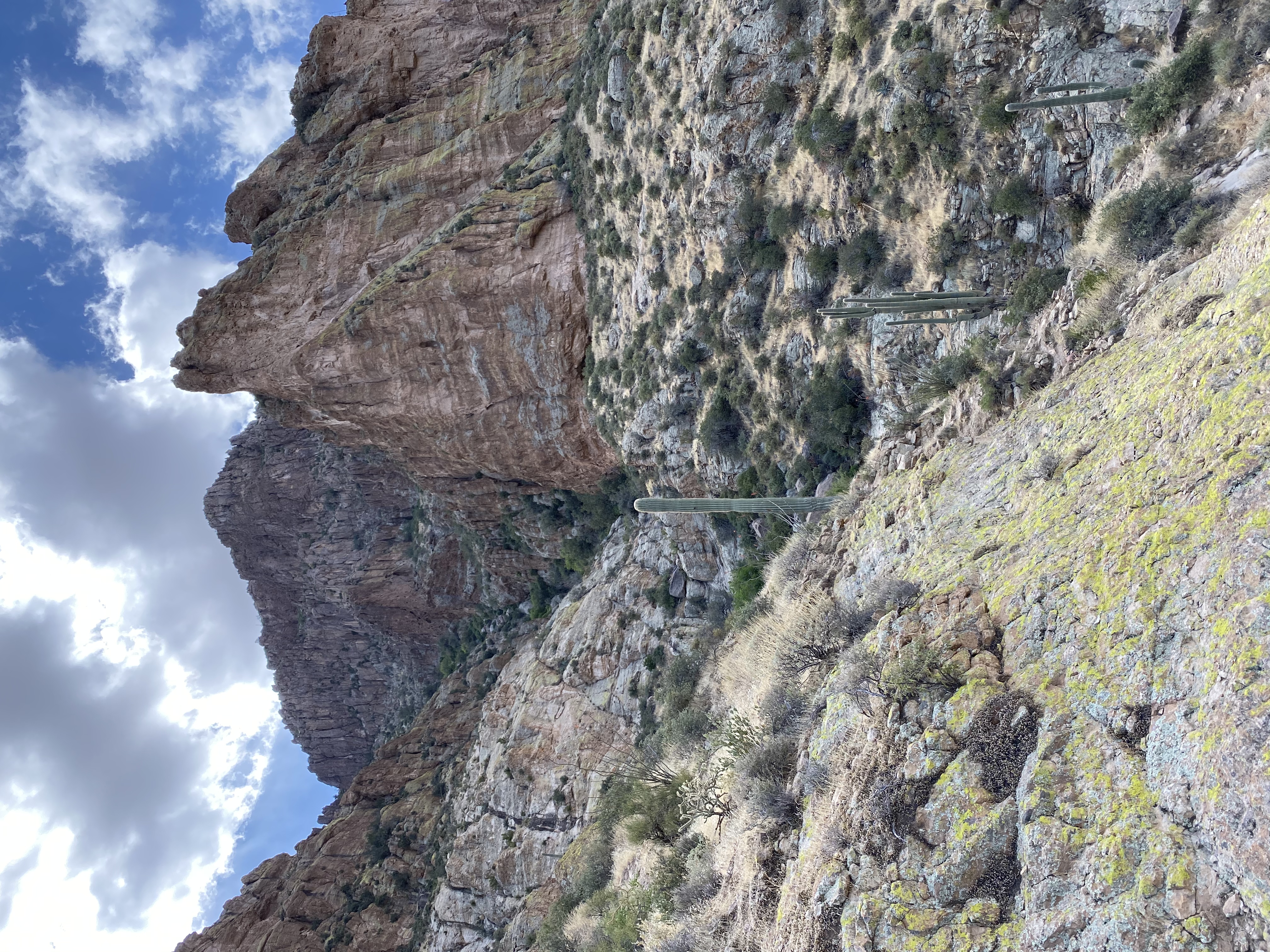 Picketpost Mountain Trail