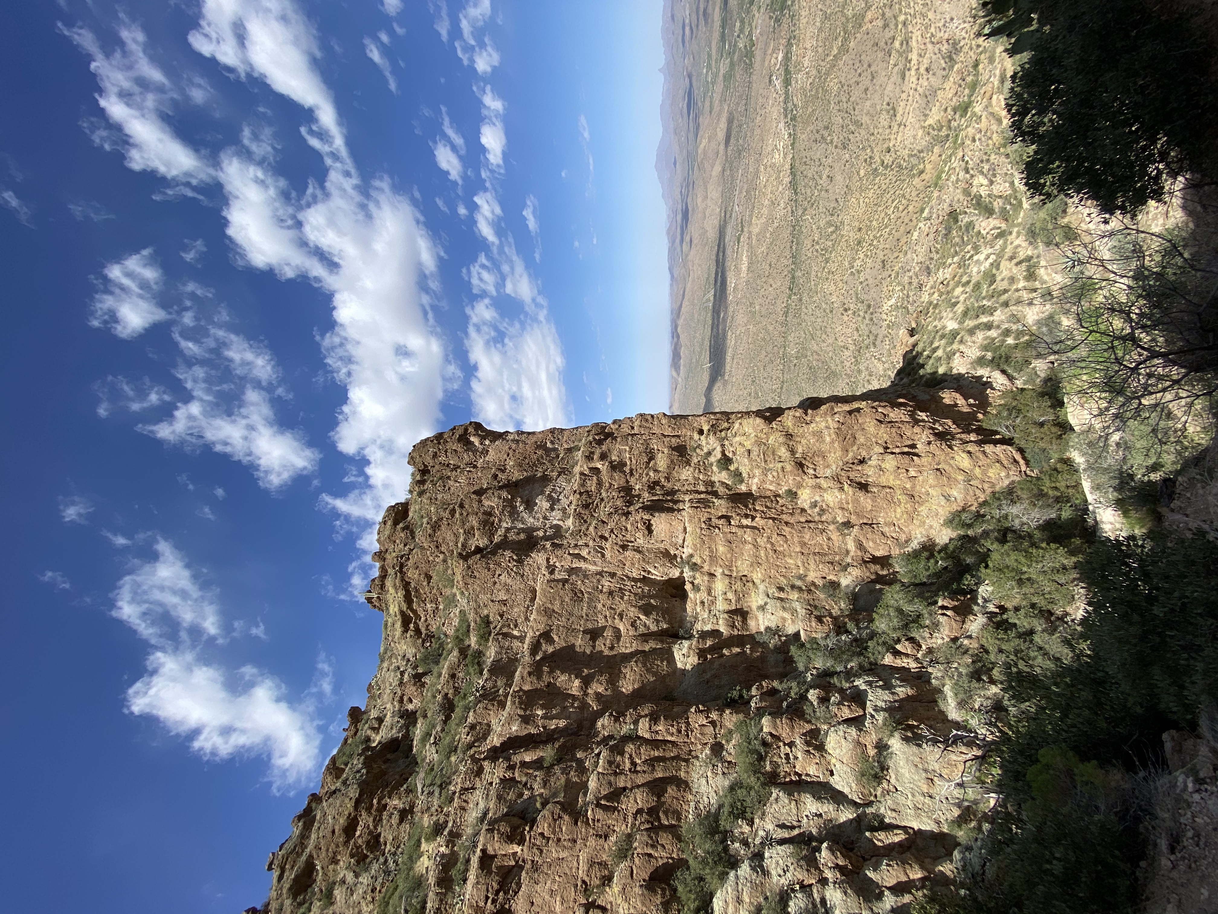 Picketpost Mountain Trail