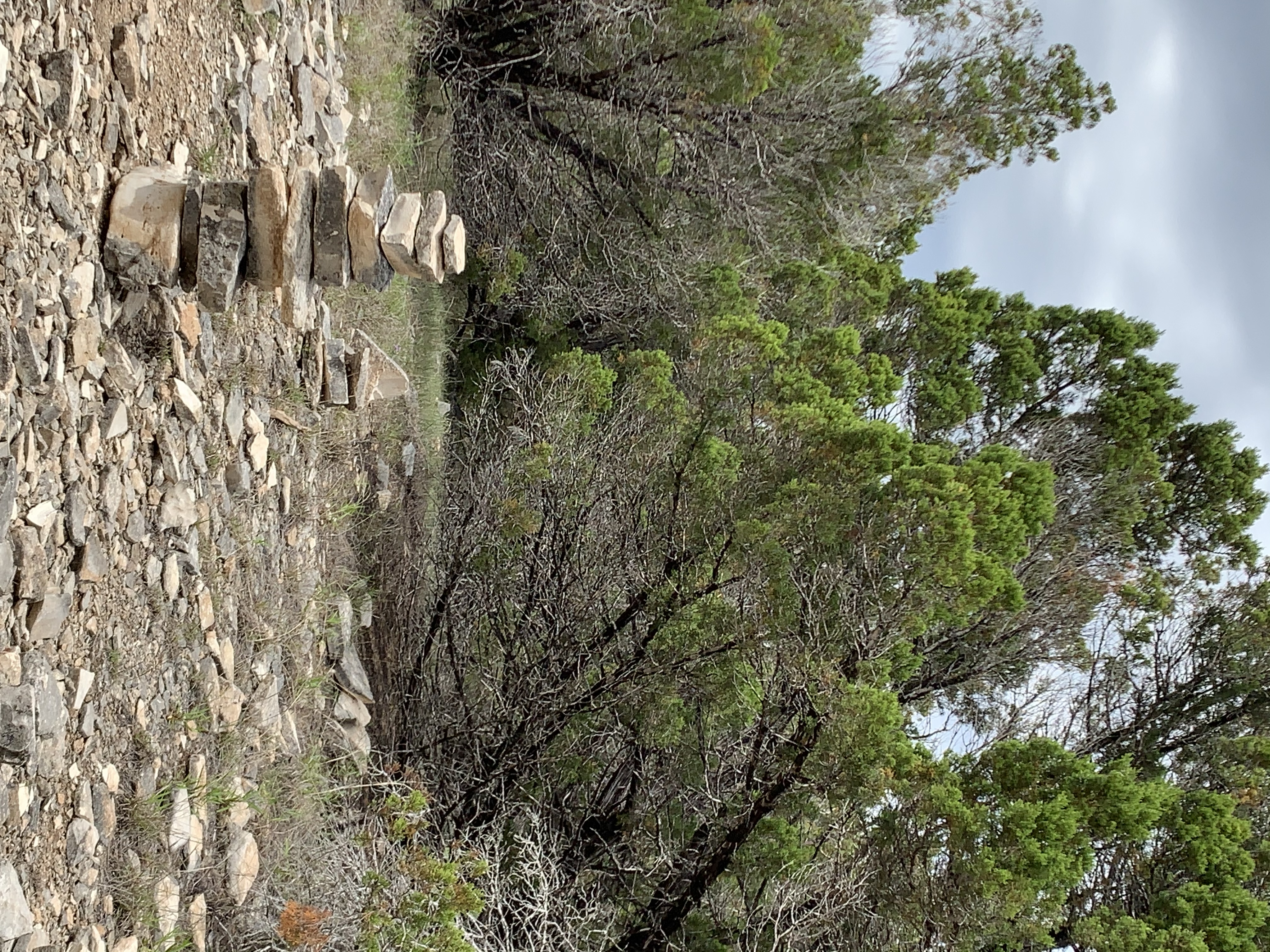 Hike the Cactus Rocks Trail, Leander, Texas