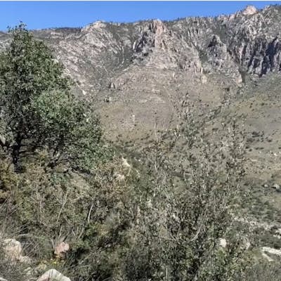 Hike Guadalupe Peak Trail