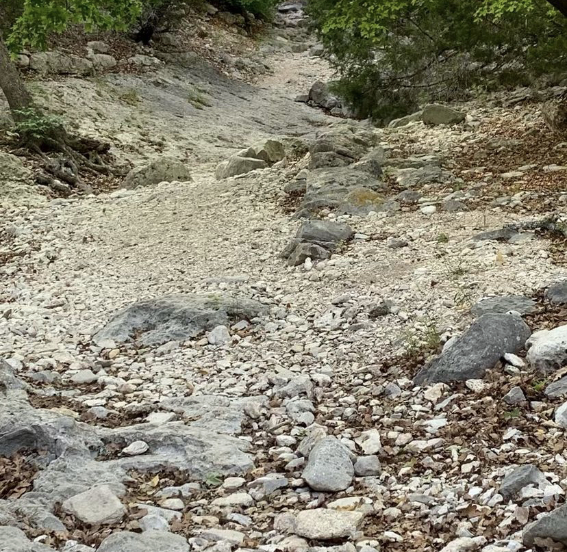 Hike the Lost Maples West Trail Loop