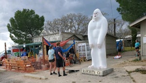 Spirit of Community at Montezuma Valley Market 