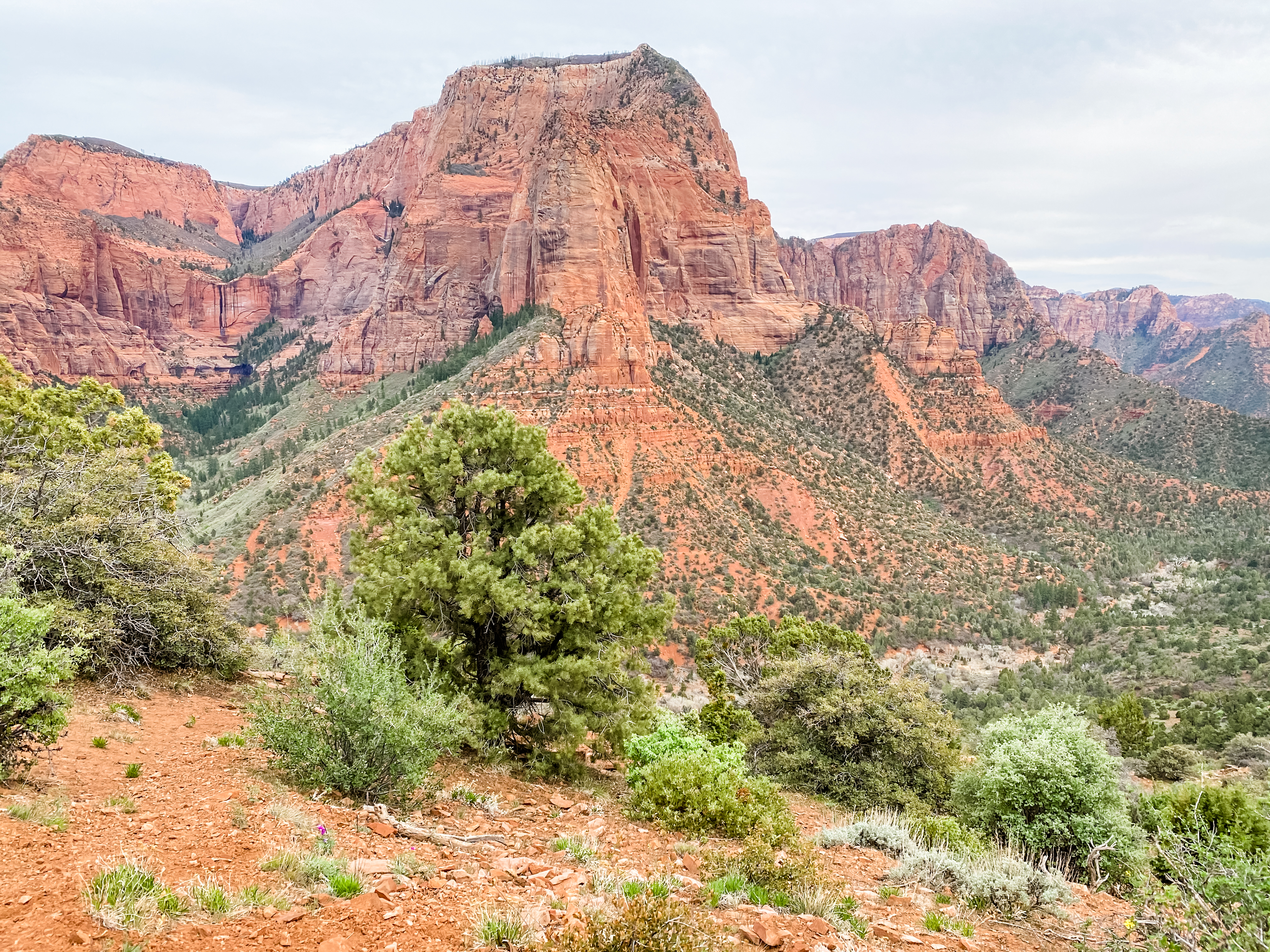 Hike to the Timber Creek Overlook in Kolob Canyon