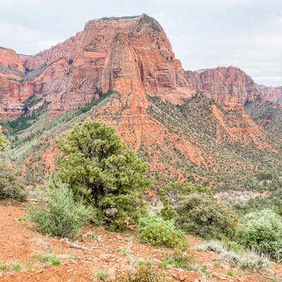 Hike to the Timber Creek Overlook in Kolob Canyon