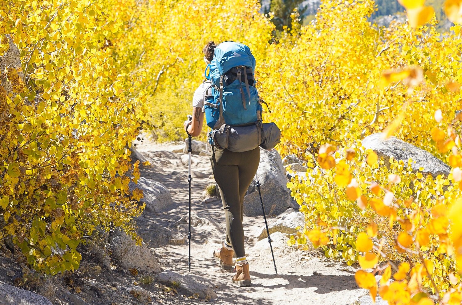 Permits 101 The Basics of the Backcountry Permit System