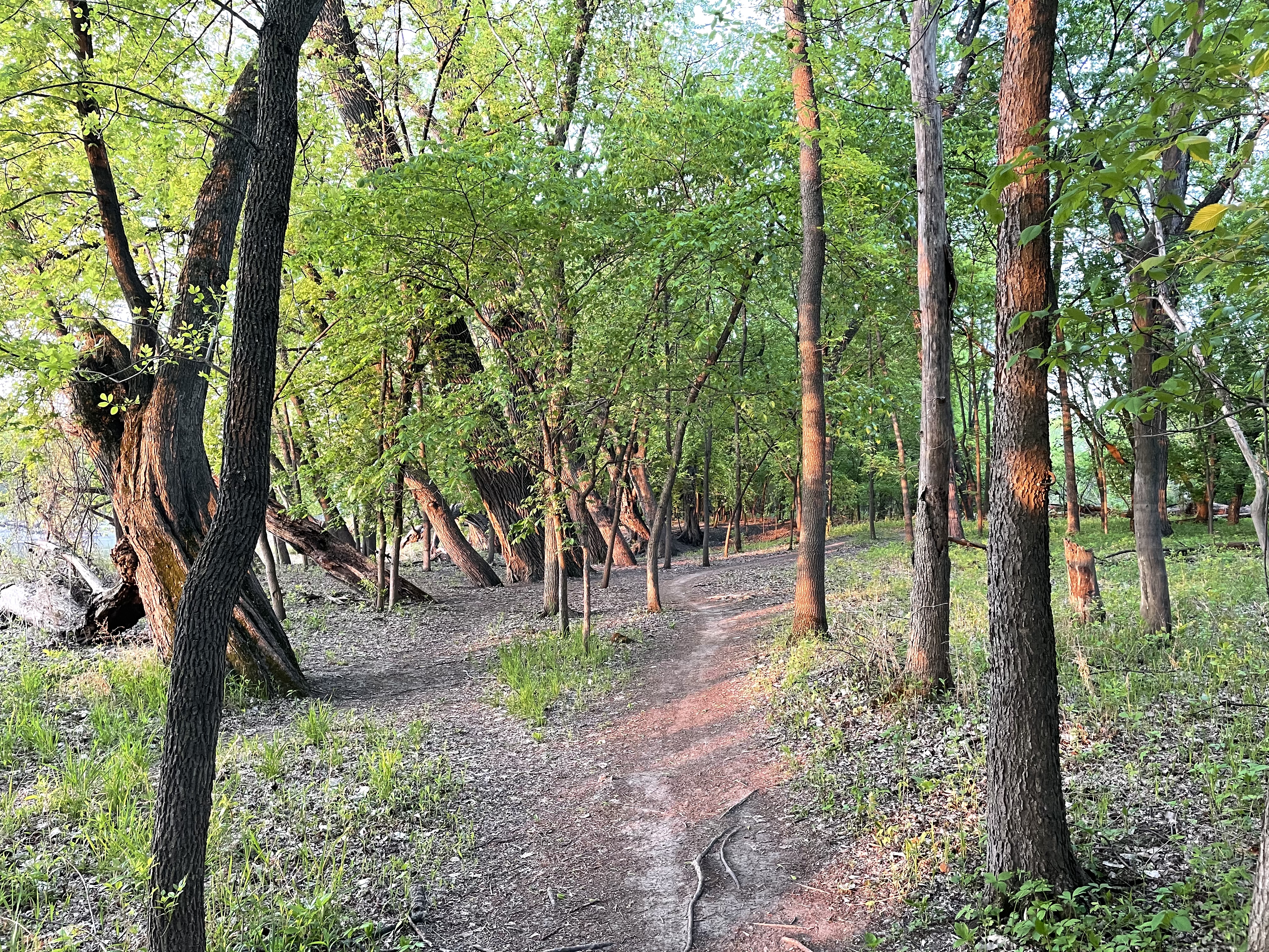 Explore the Minnesota River Bottoms