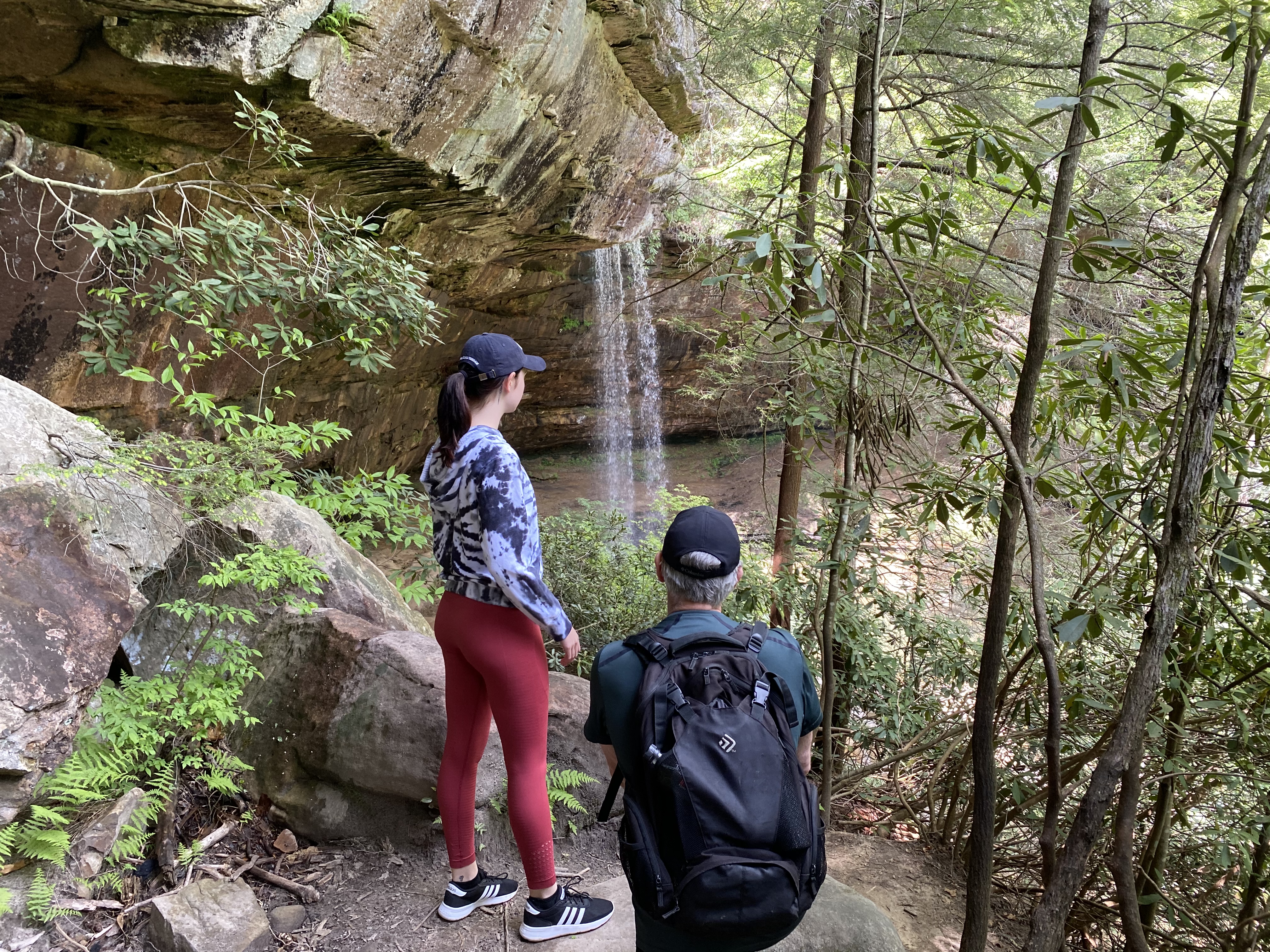 Northrup Falls