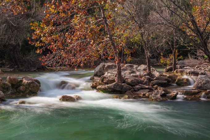 Autumnal trees line the side of a wide, short water fall that flows into whitewater in a teal pool.