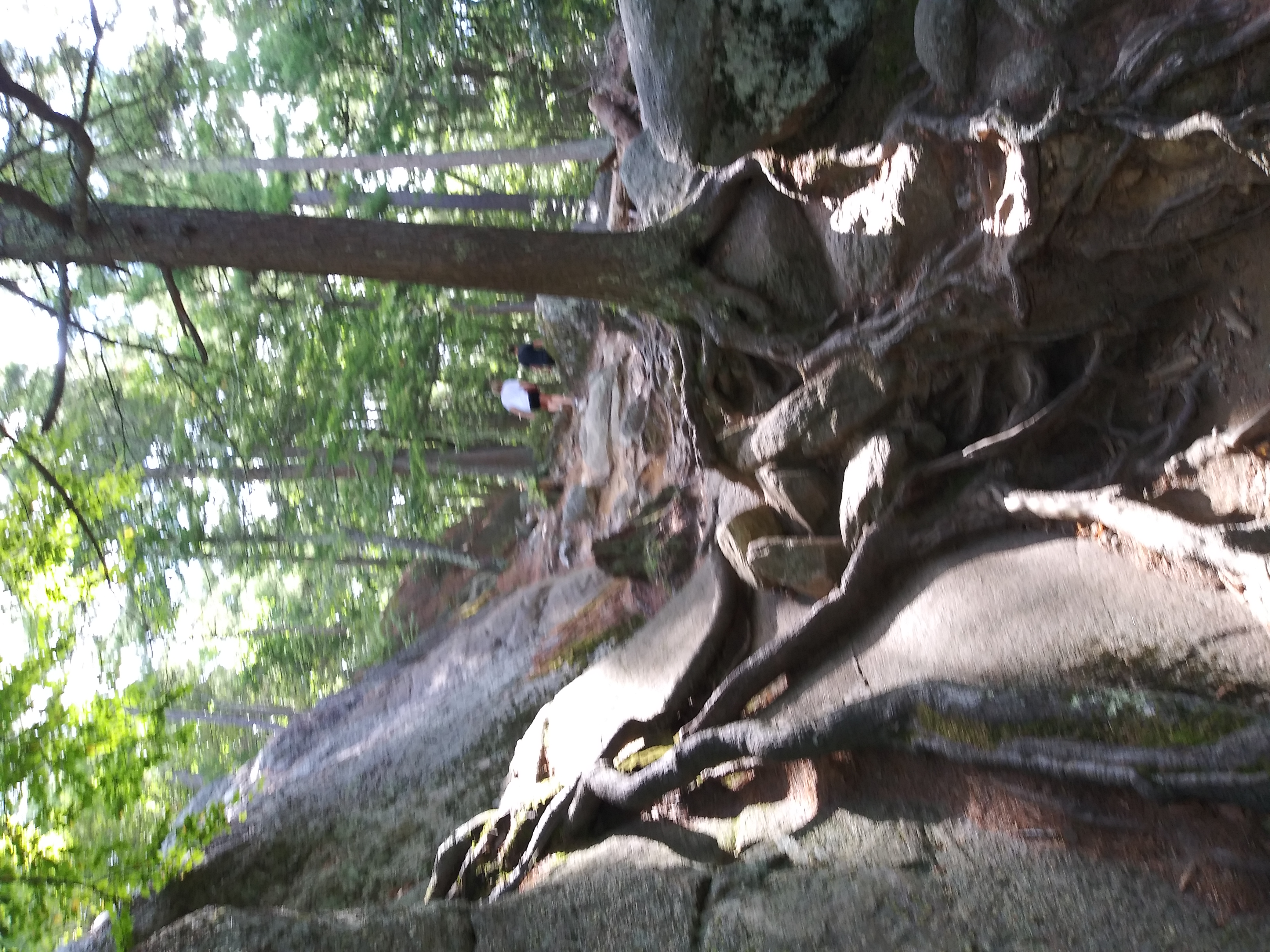 Hike the Purgatory Chasm Trail