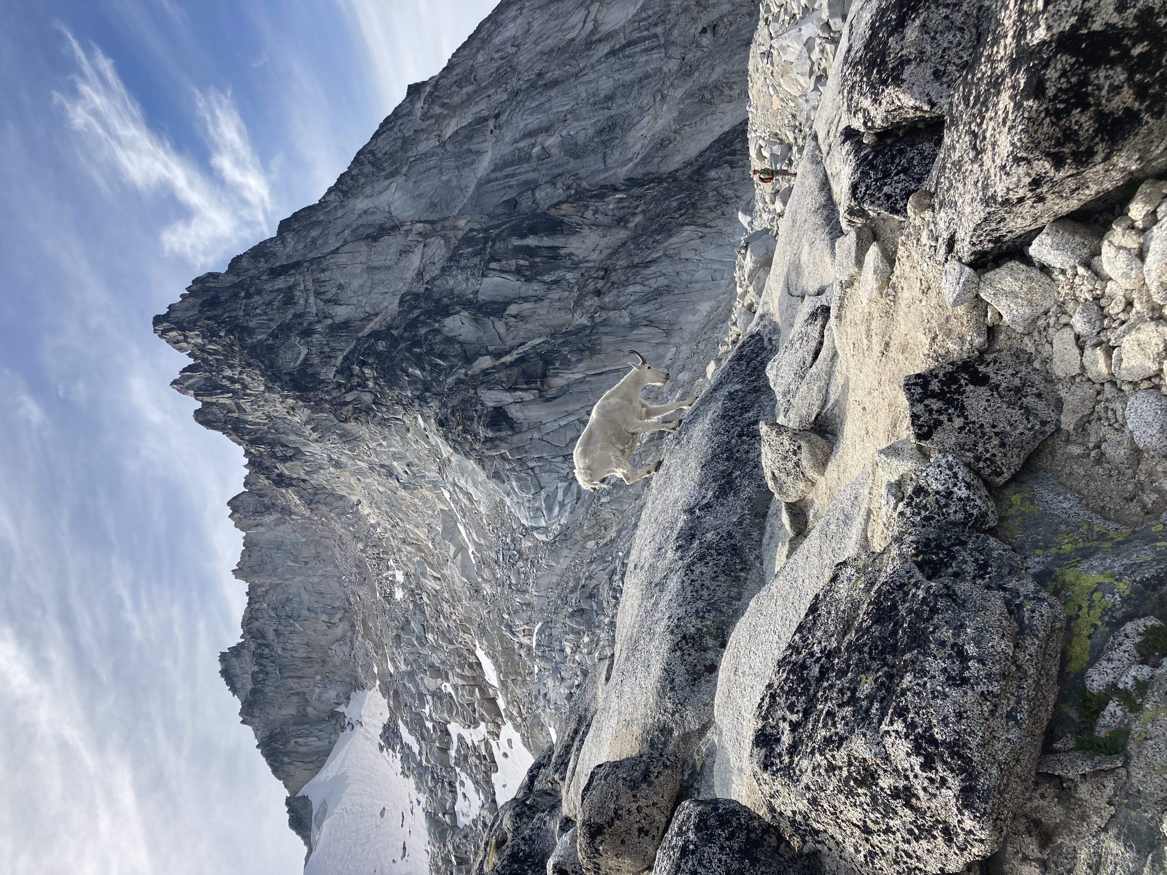 Aasgard Pass via Stuart Lake Trail