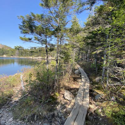 Hike to The Bowl in Acadia NP