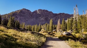 20 of the Best Hikes in the USA