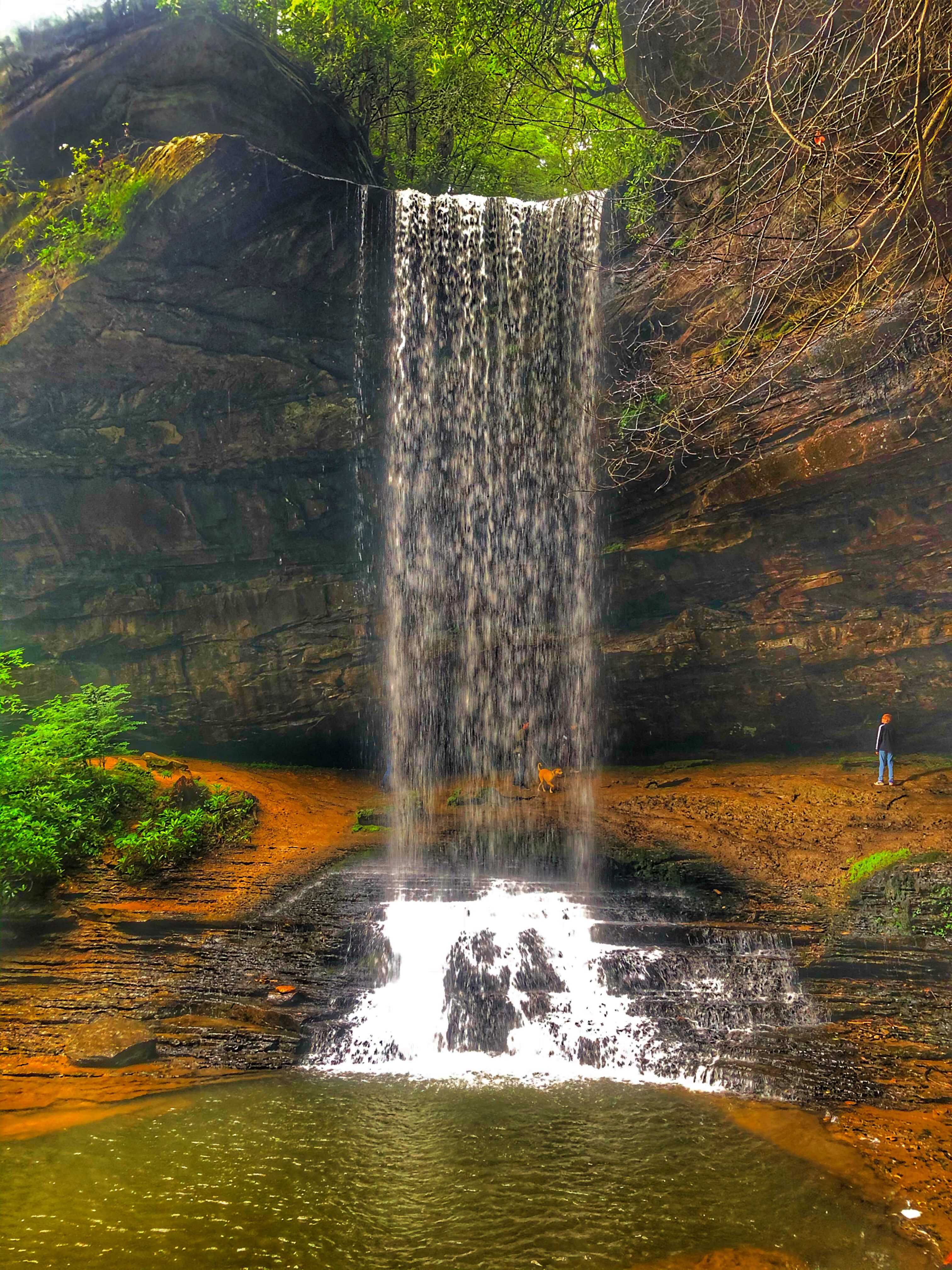 Northrup Falls