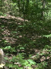 Hike to Pinnacle Peak, Indiana