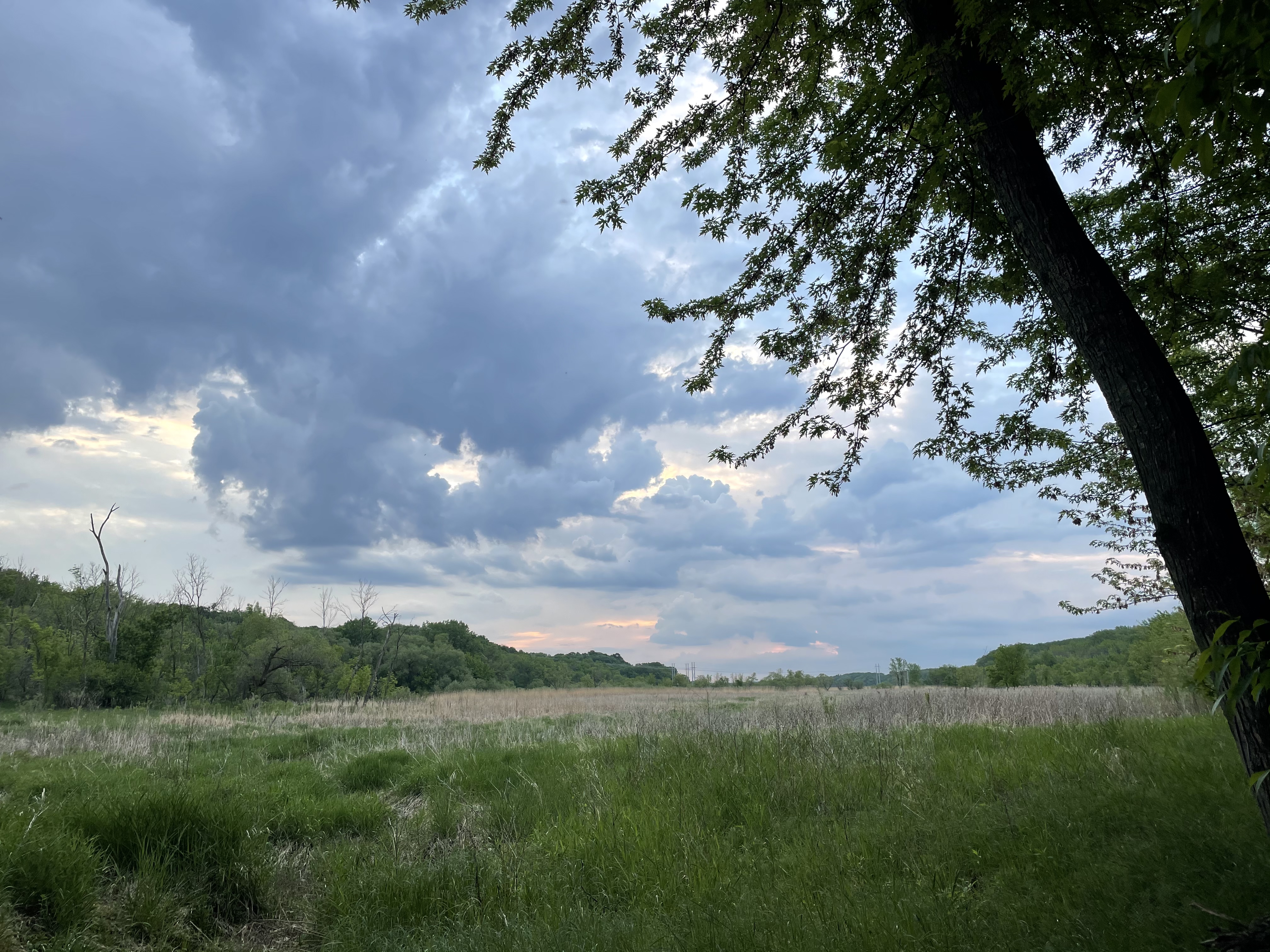 Explore the Minnesota River Bottoms