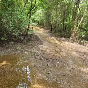 Hike Claiborne Park Trail Loop