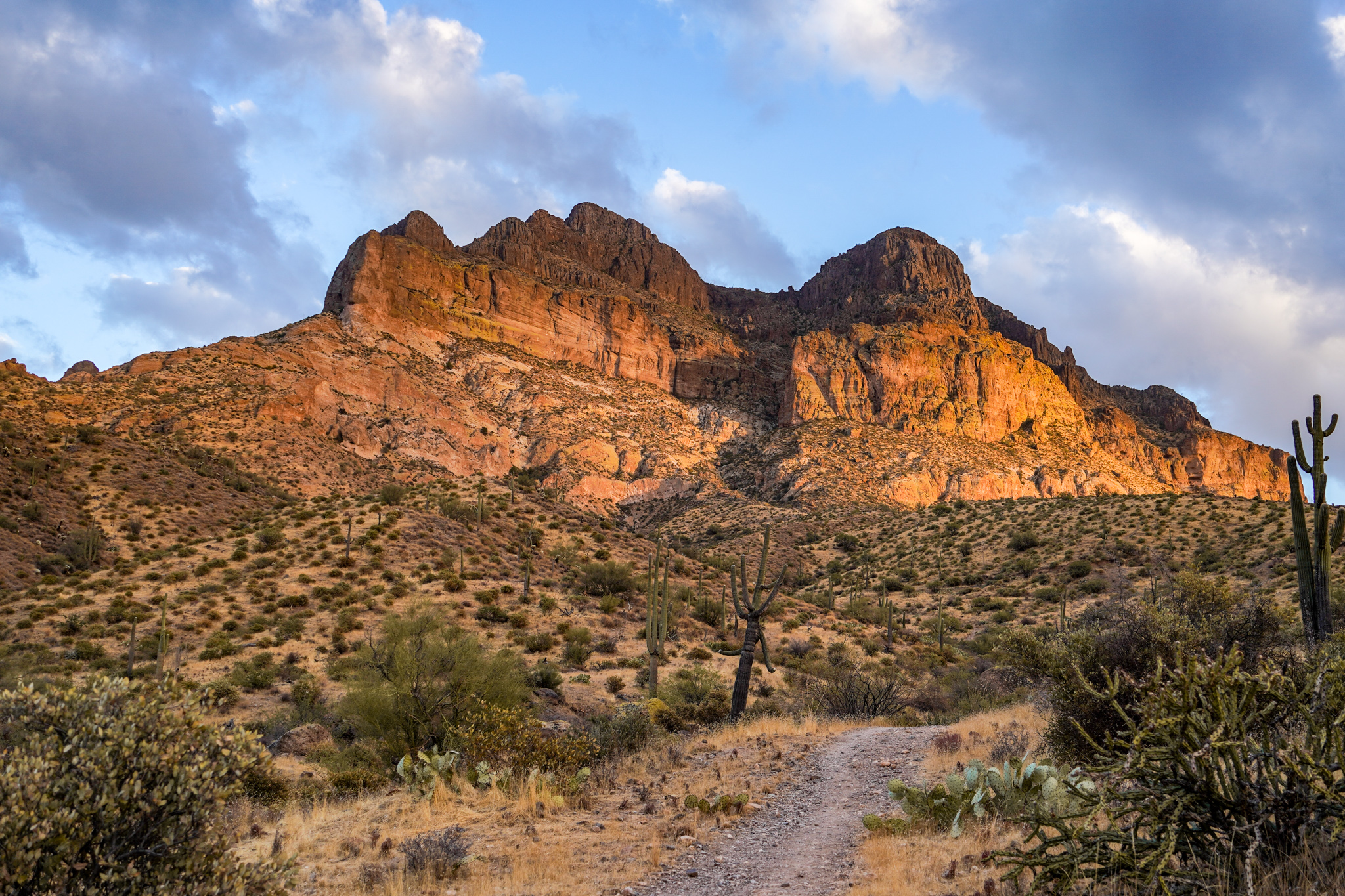 Picketpost Mountain Trail