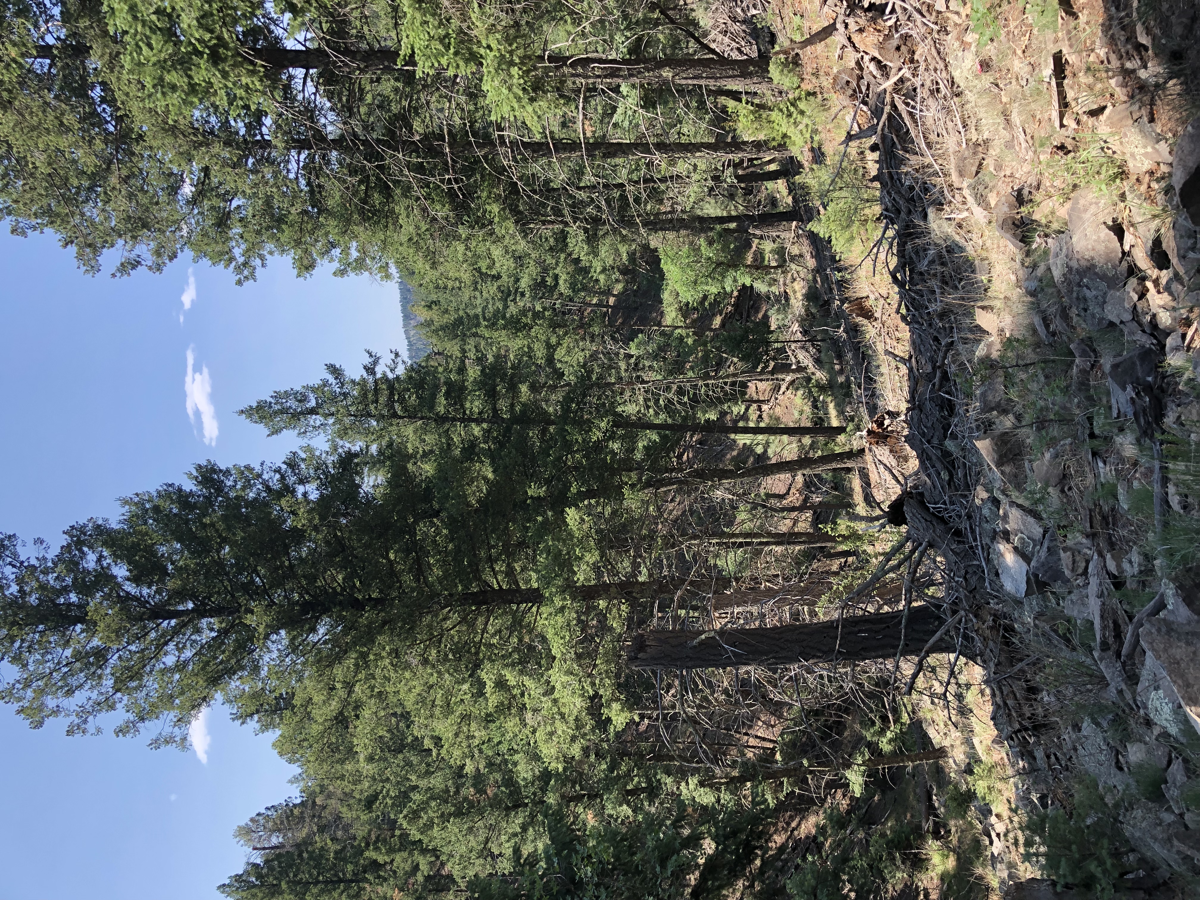 Hike Perk Canyon