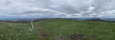 Max Patch Mountain