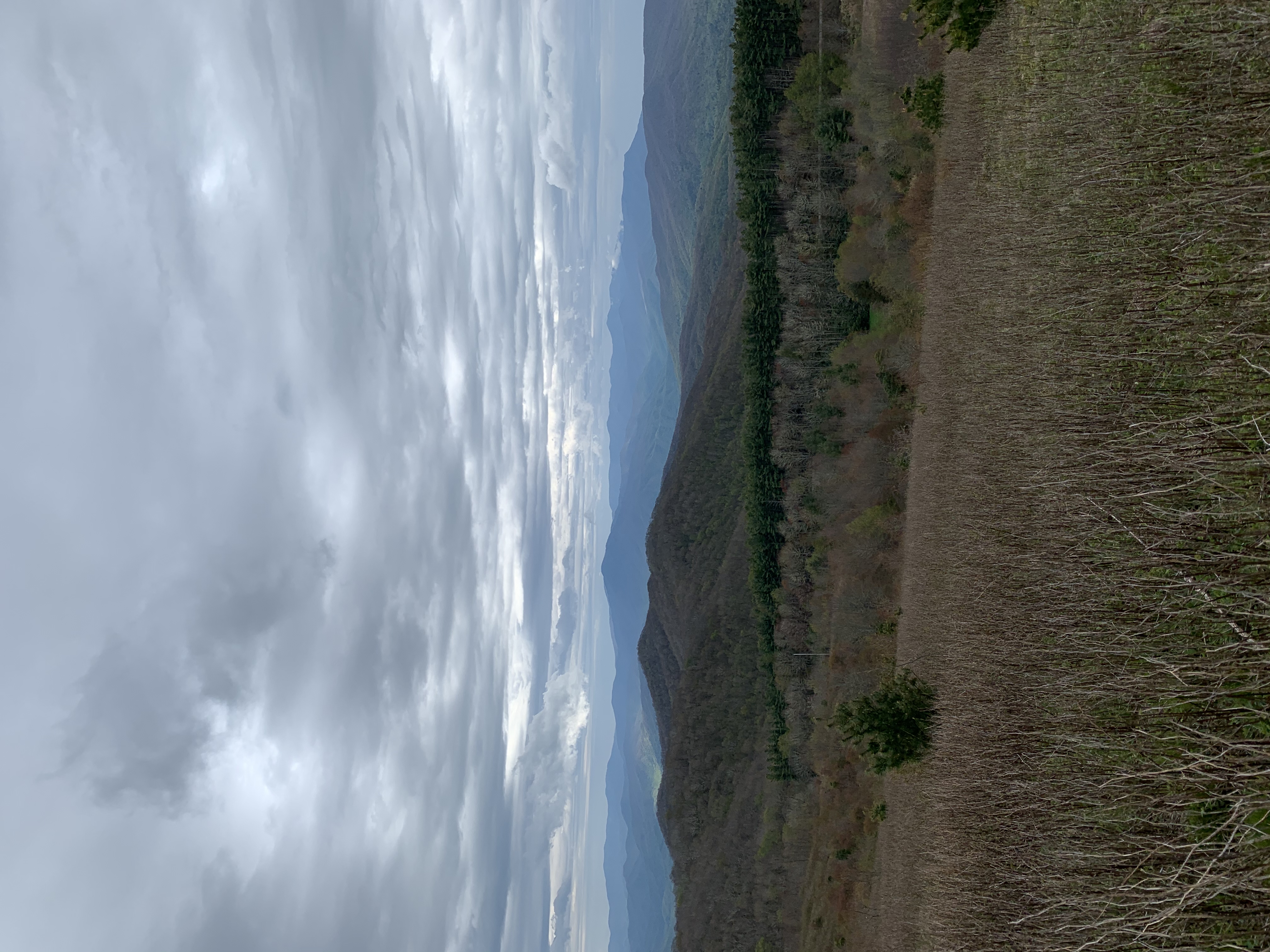 Max Patch Mountain