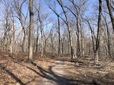 Indiana Dunes Trail 8 And 7 Loop