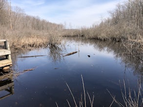 Indiana Dunes Trail 8 And 7 Loop