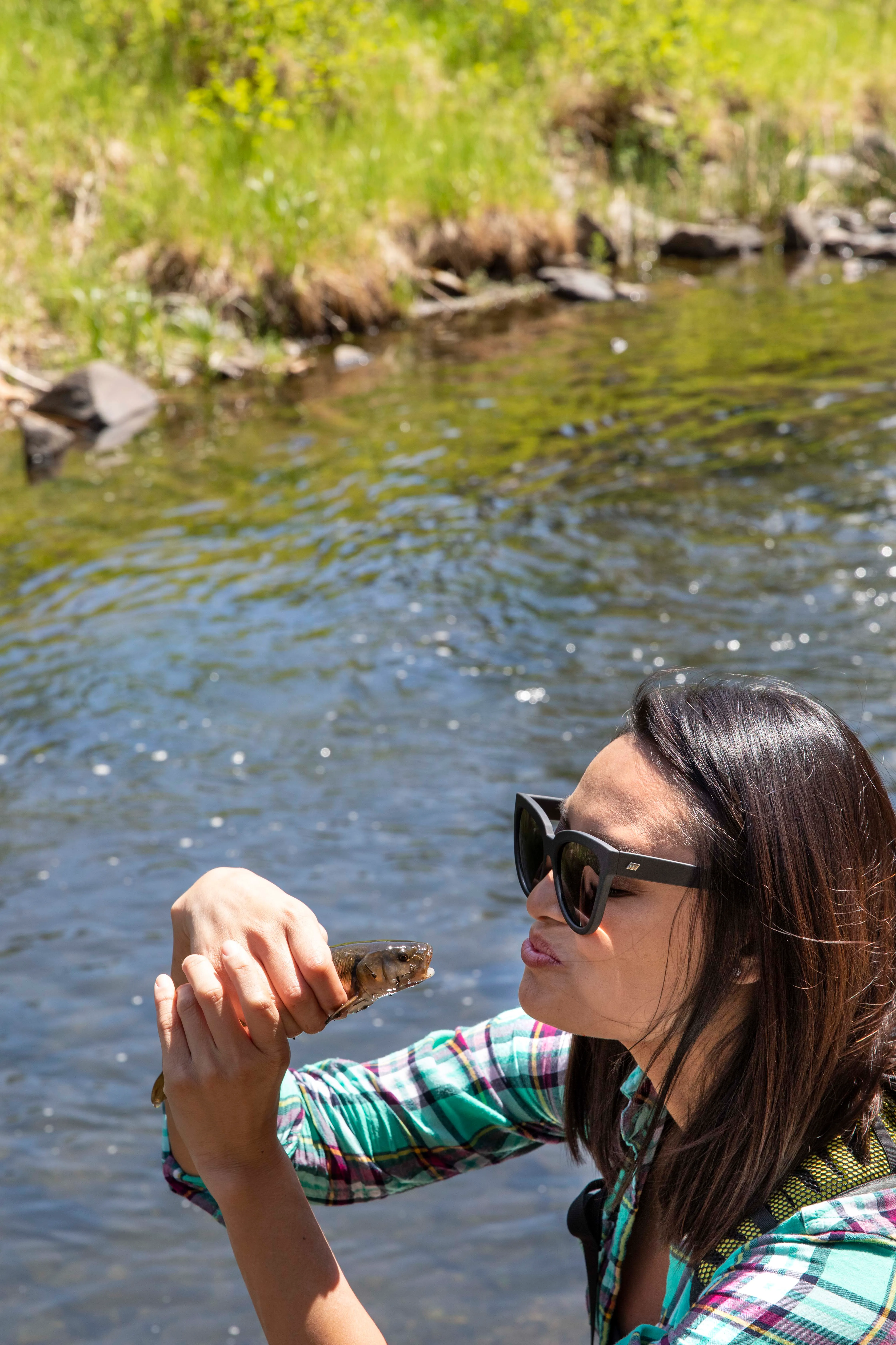 Fly Fish Along Rapid Creek