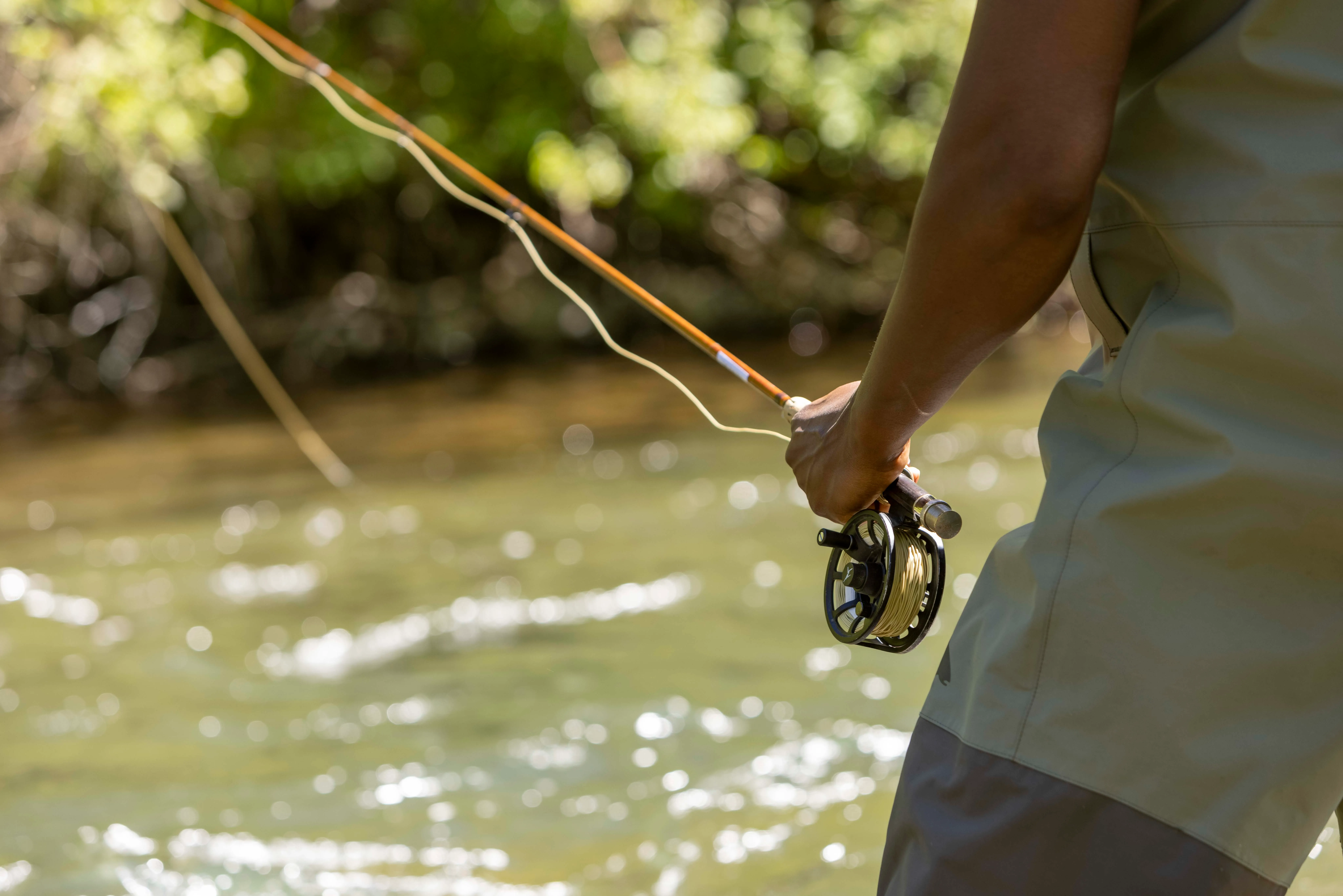 Fly Fish Along Rapid Creek